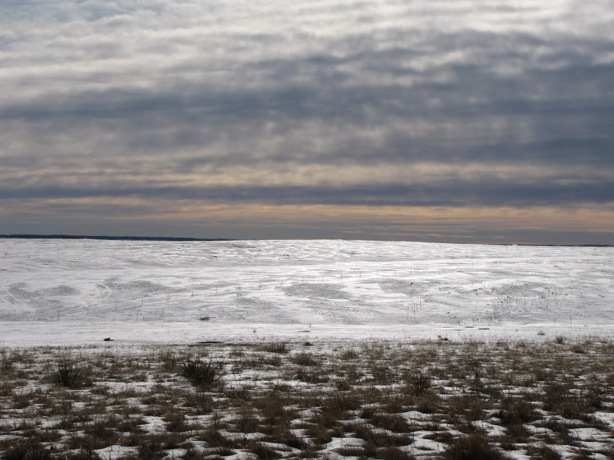 Glendale FarmIMG_7846-X4.jpg