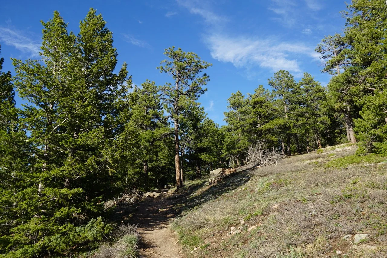 RangeViewOSMPDSC03622-X2.jpg