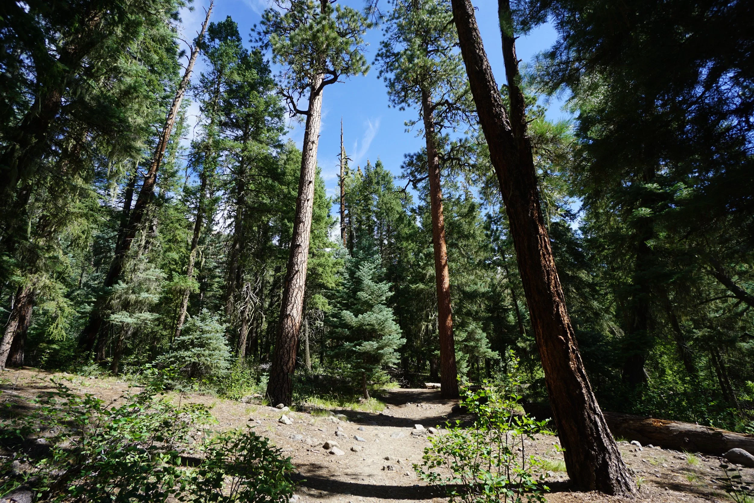 Piedra FallsDSC09018.JPG