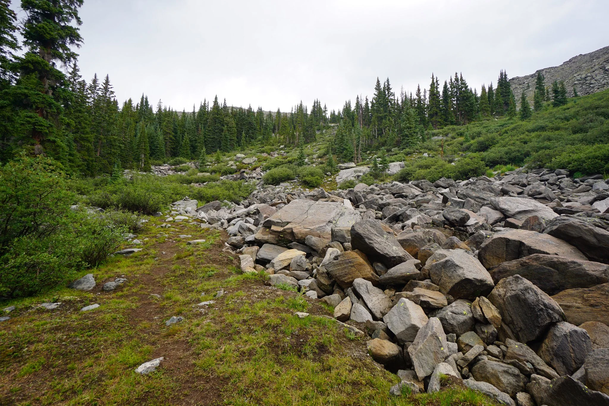 LamphierLakesDSC03822-2.jpg