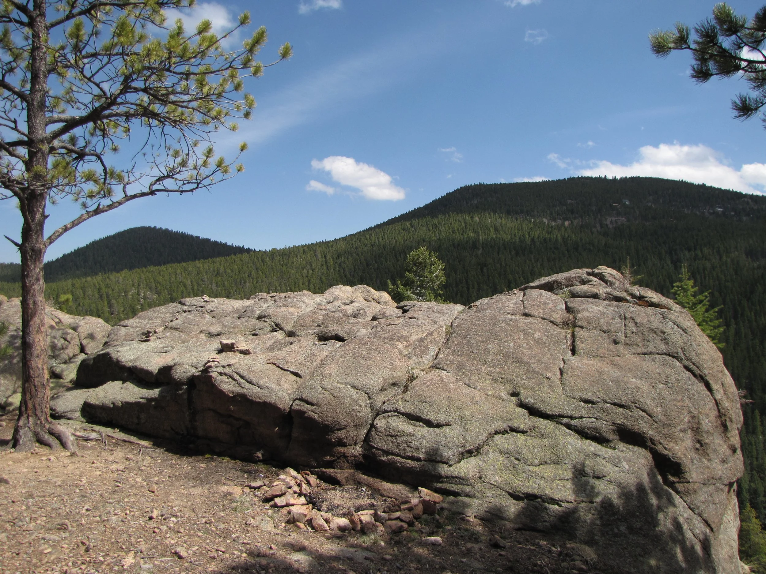 MaxwellFallsIMG_8045.jpg