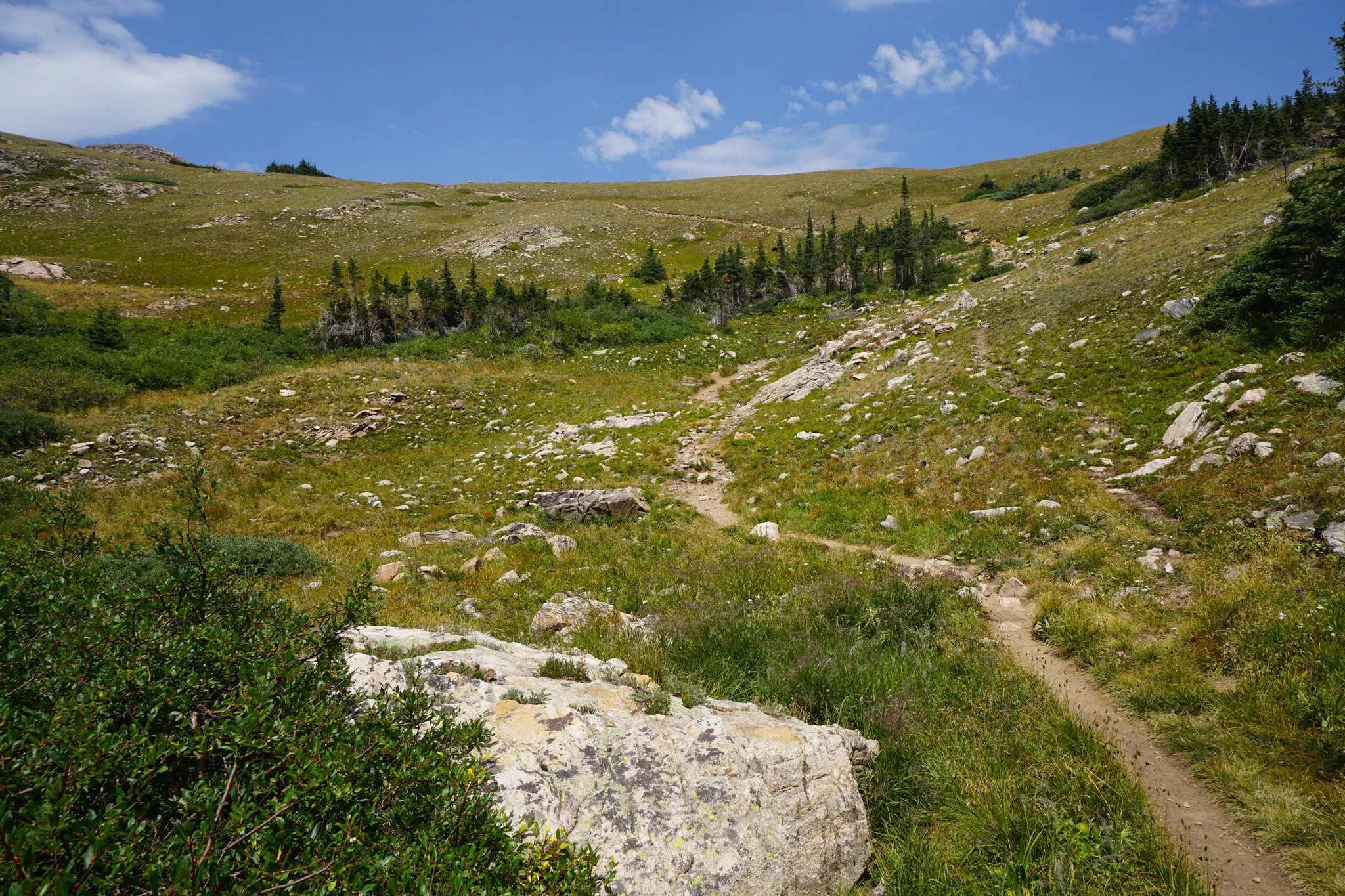 HeartLakeDSC04015-2.jpg