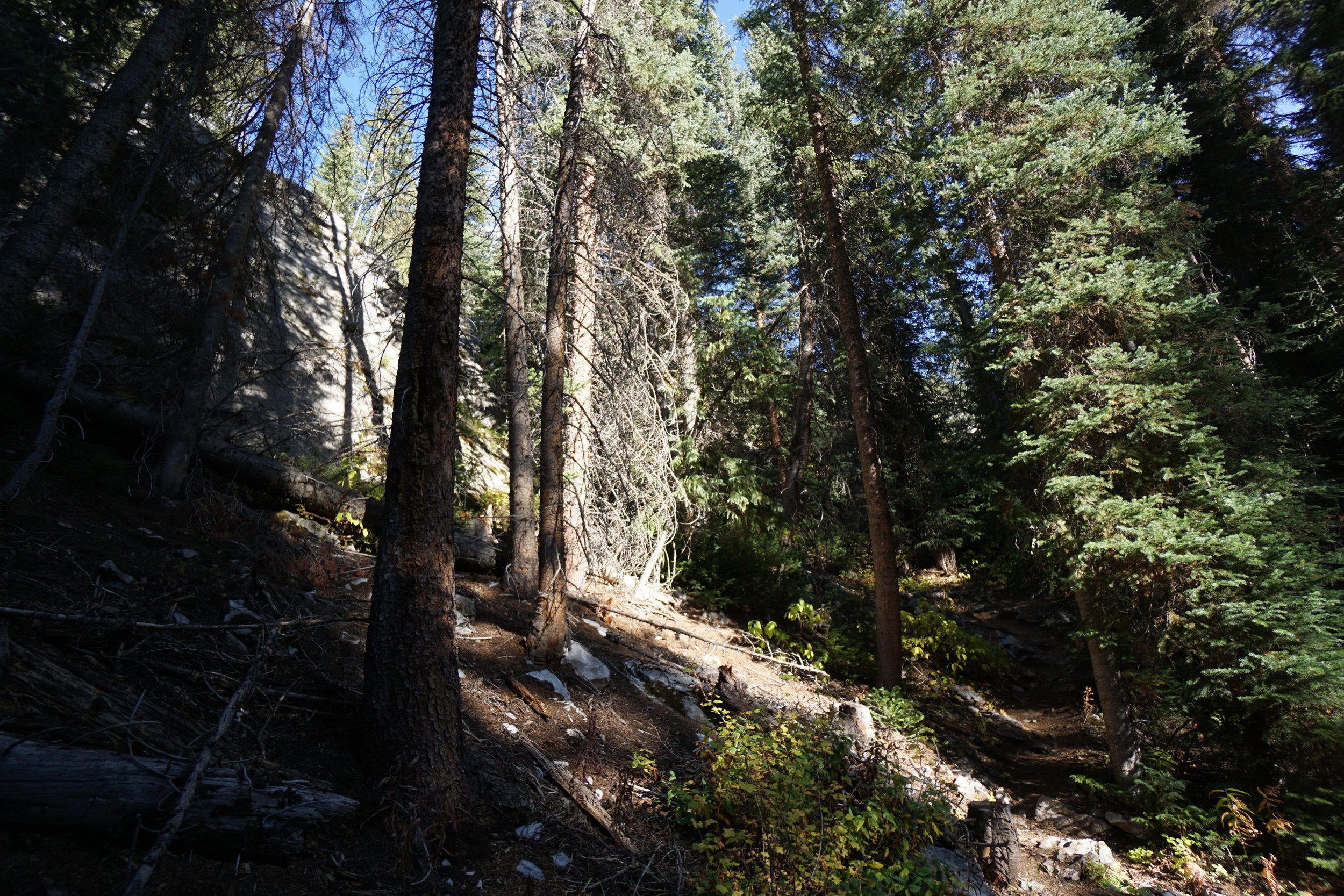 Eagle LakeDSC06714.JPG