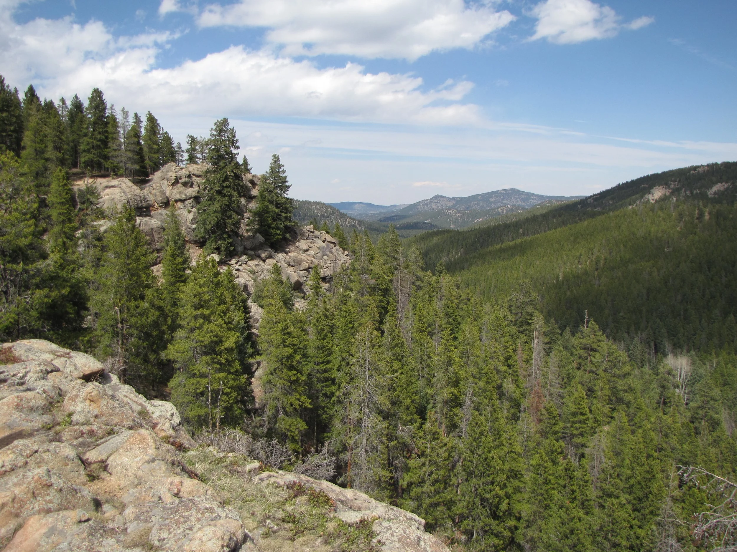 MaxwellFallsIMG_8058.jpg