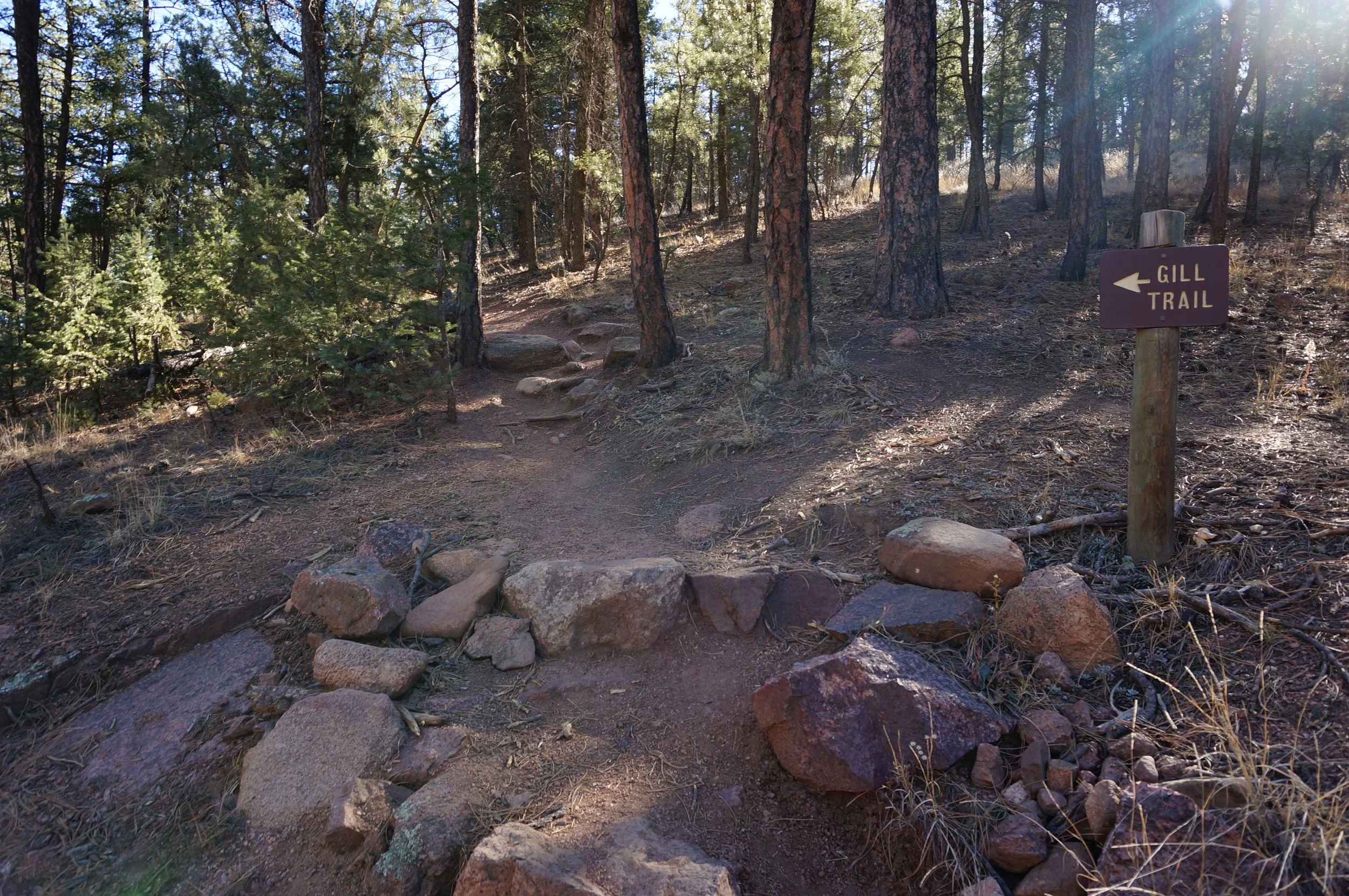 GillTrailDSC00448.JPG