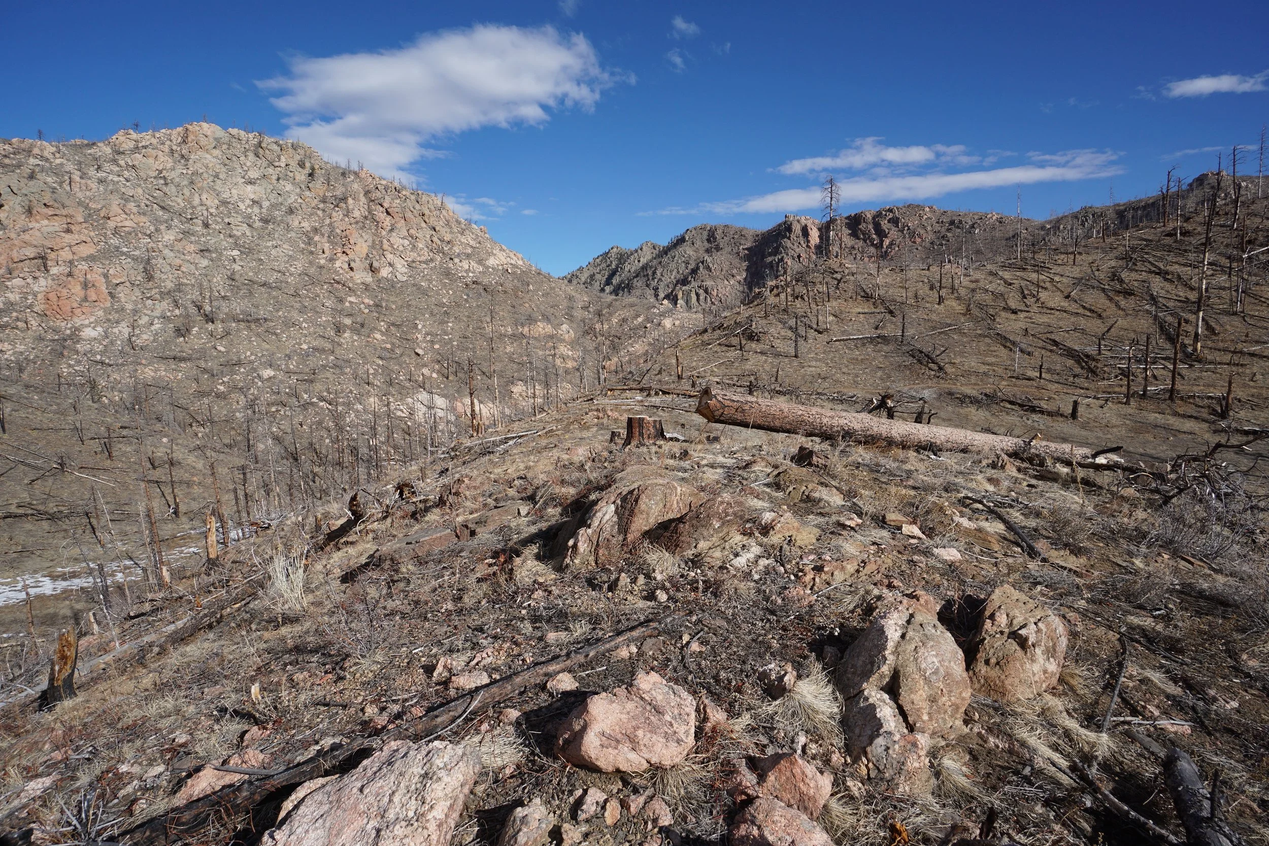 YoungGulchDSC00055-X5.jpg