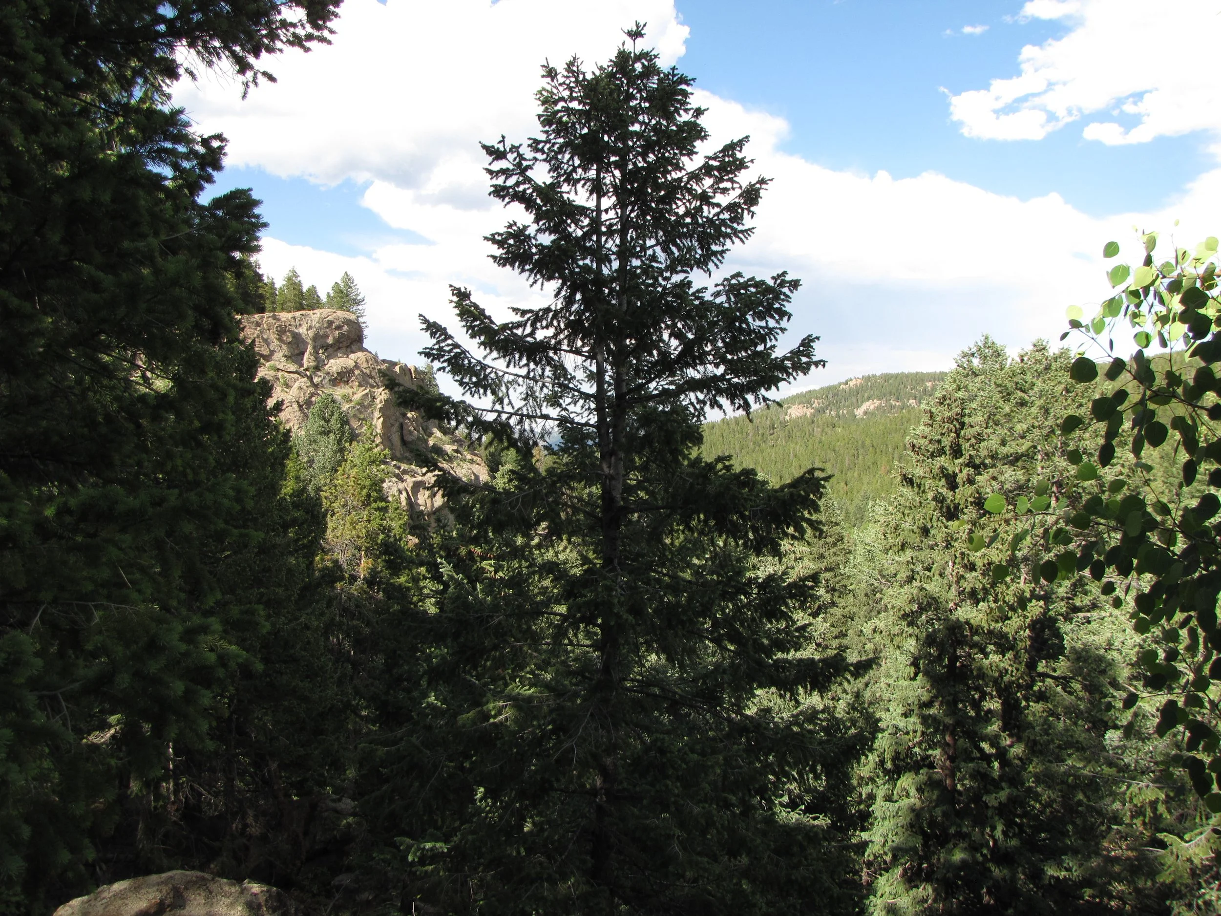 MaxwellFallsIMG_0406.jpg