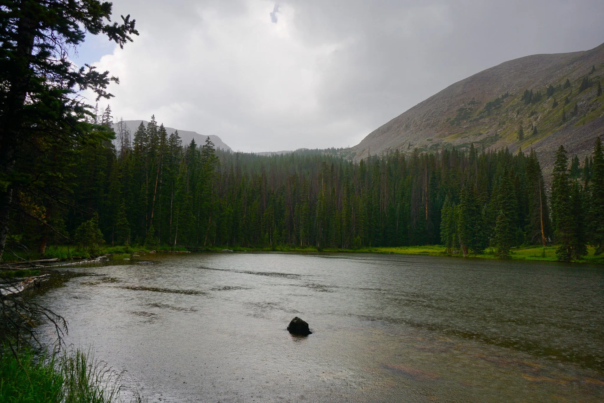LamphierLakesDSC03715-2.jpg
