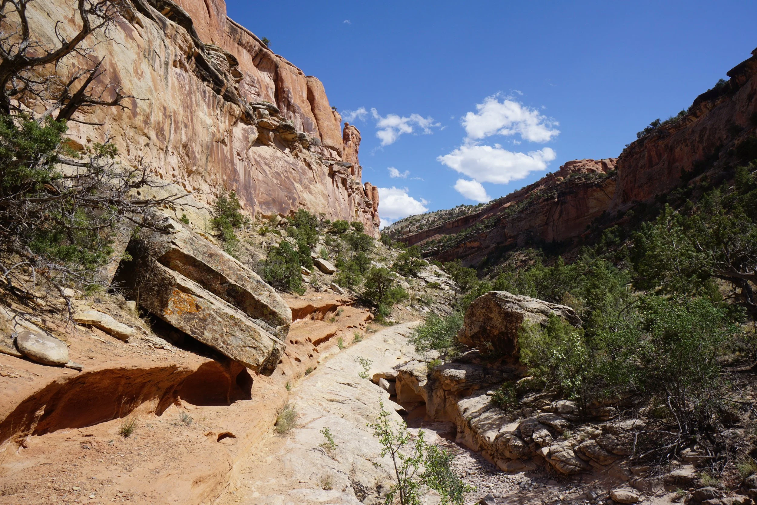EchoCanyonCOLMDSC06272.JPG