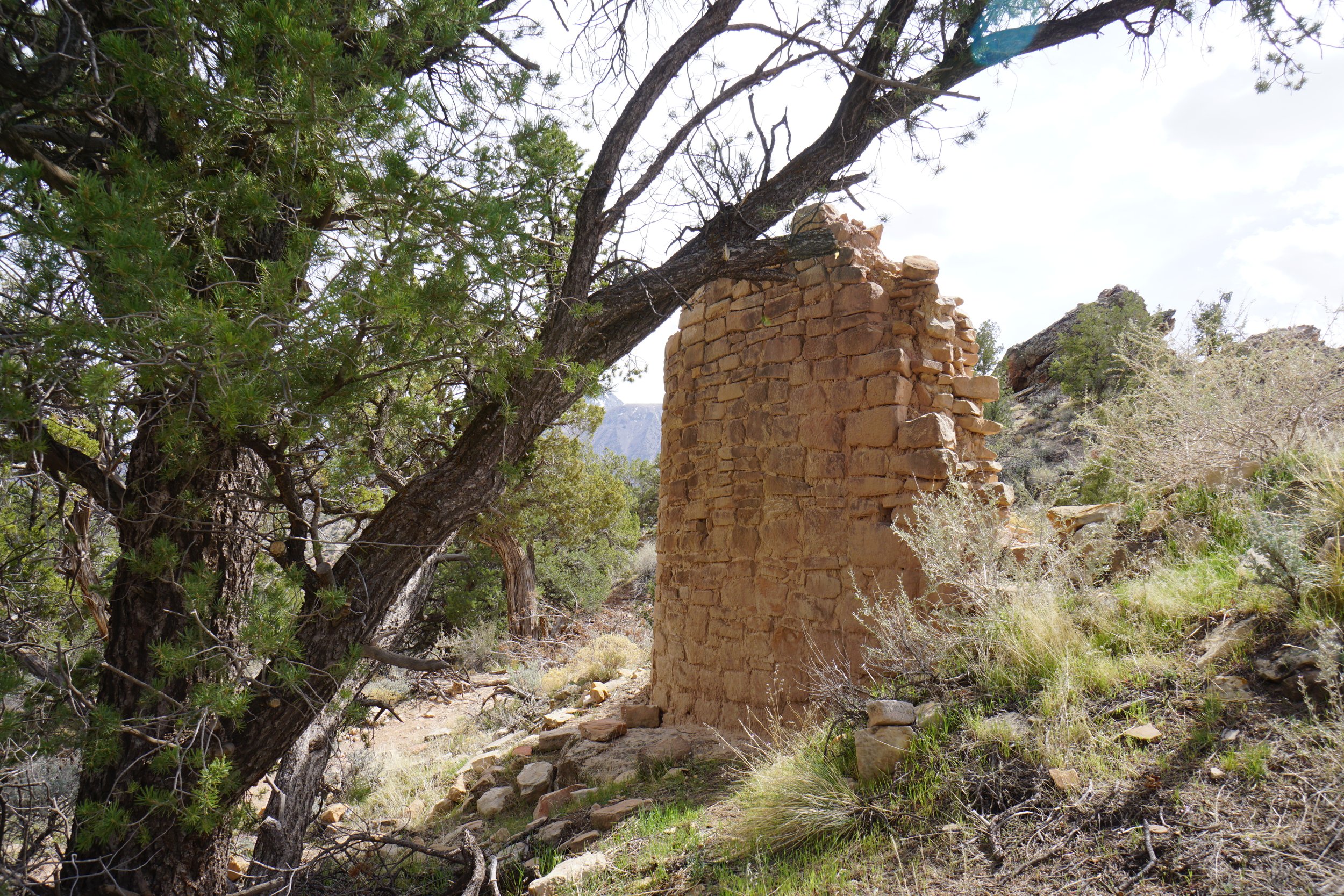SandCanyonDSC03411.JPG