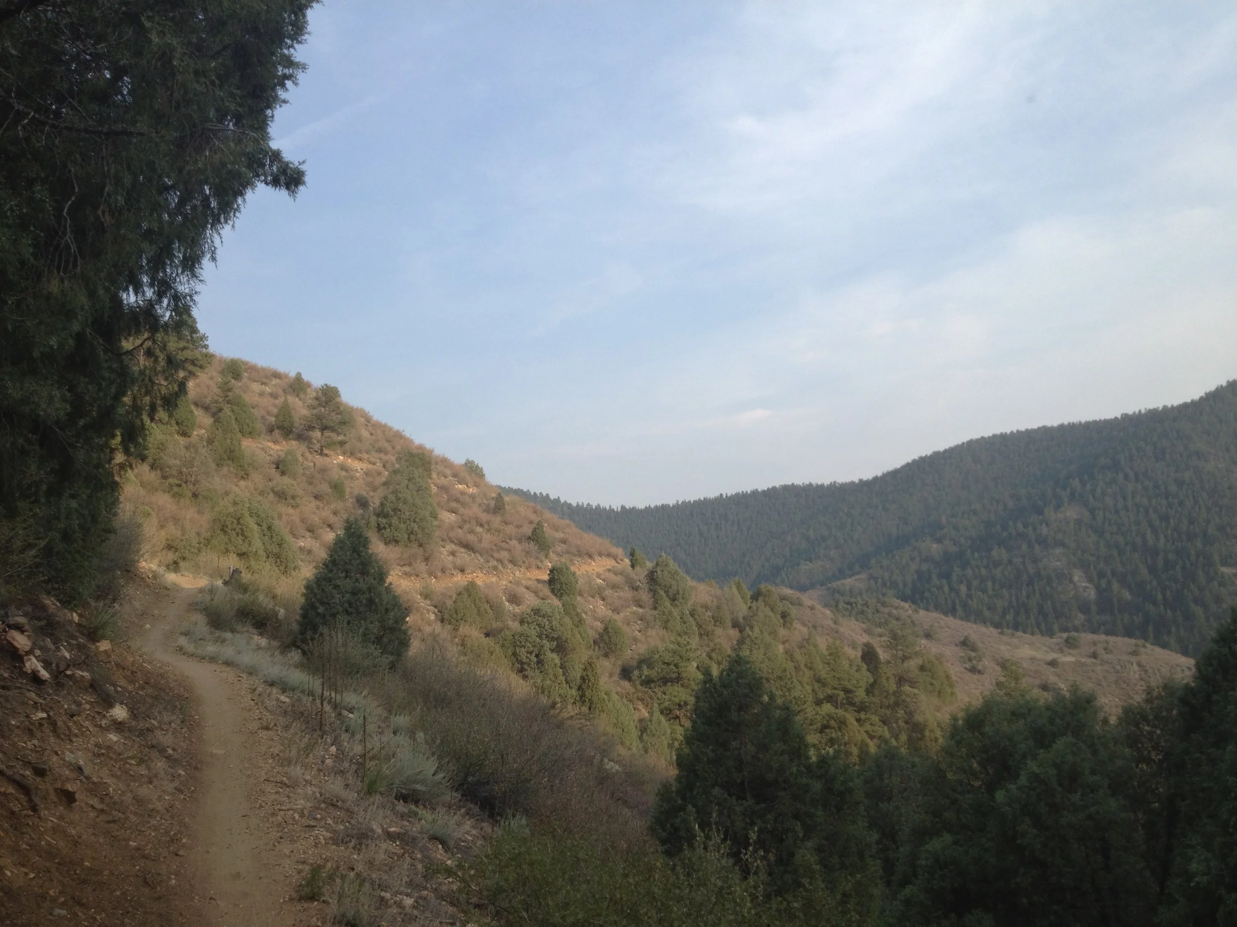 MayhemIMG_3302.jpg