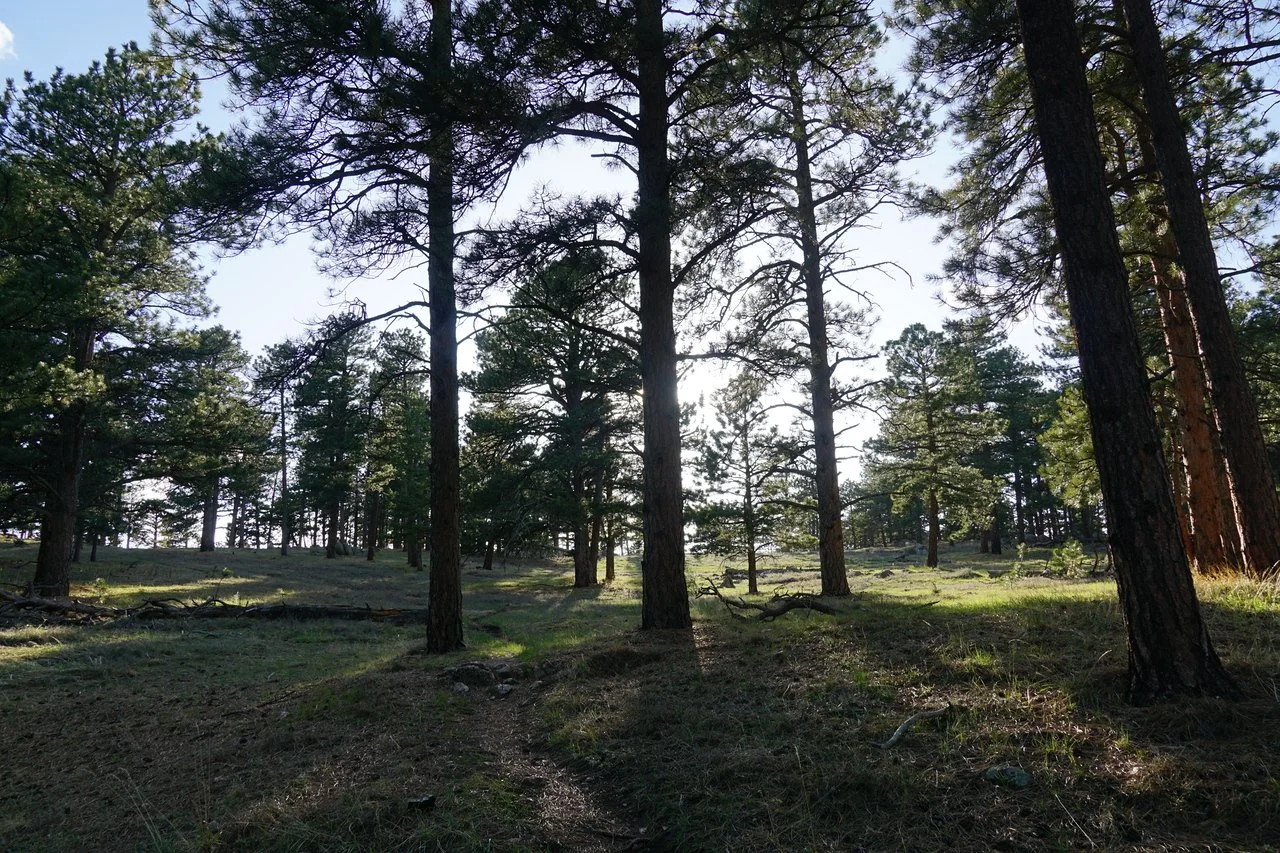 RangeViewOSMPDSC03632-X2.jpg