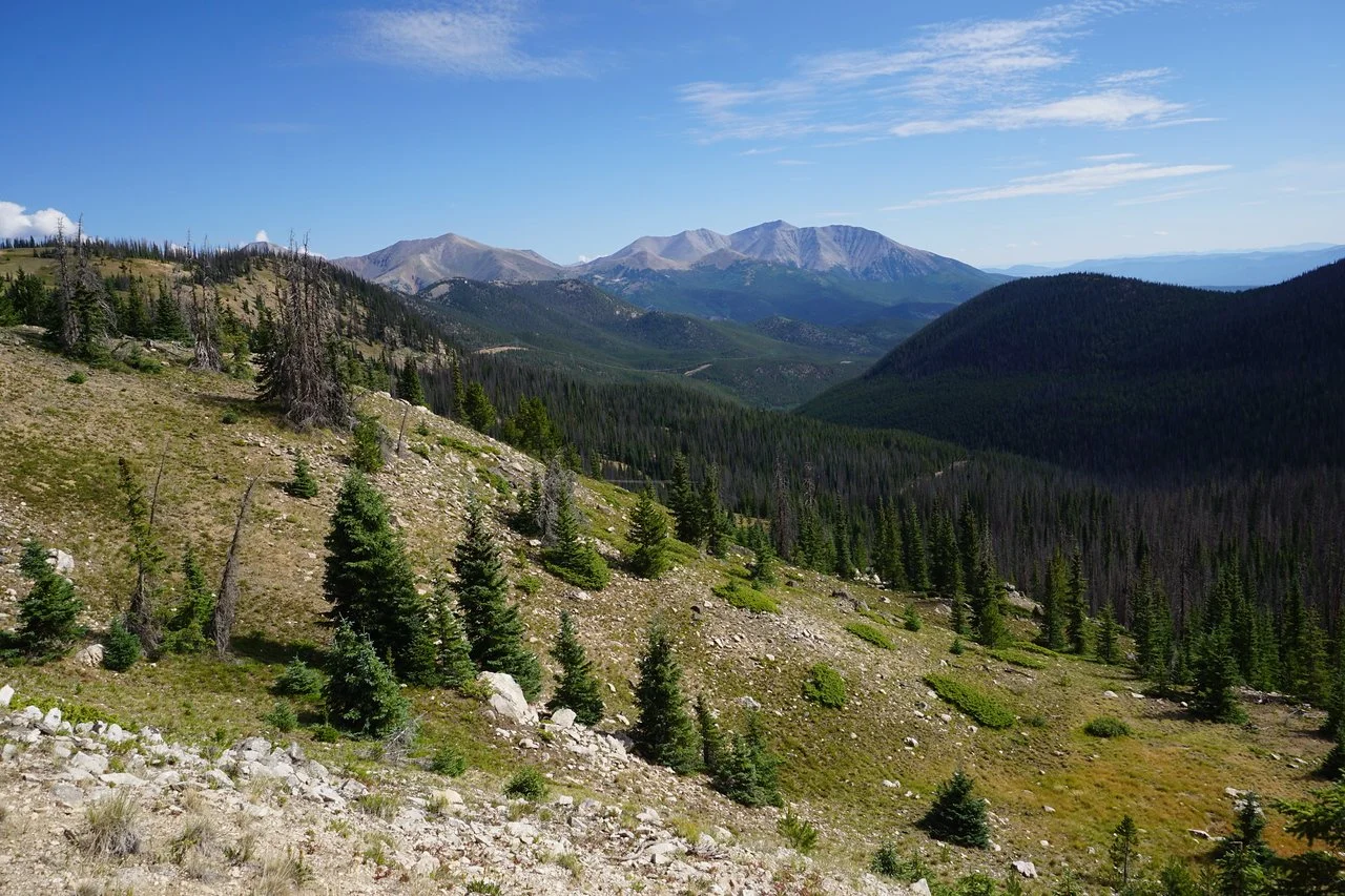 DSC03633-X2.jpg
