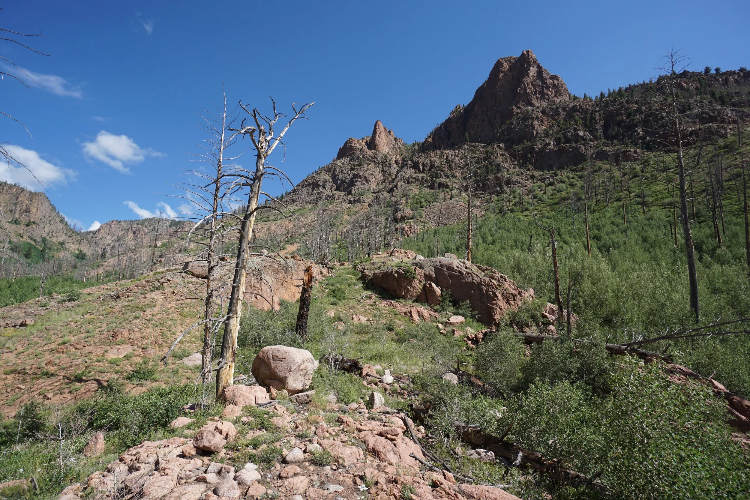 RedCanyonDSC04138.JPG