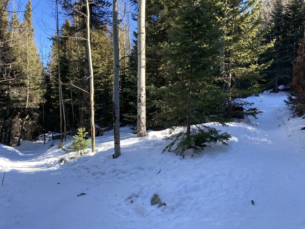 2021013116493503--3991306724387768793-IMG_0340_HEIC-XL.jpg