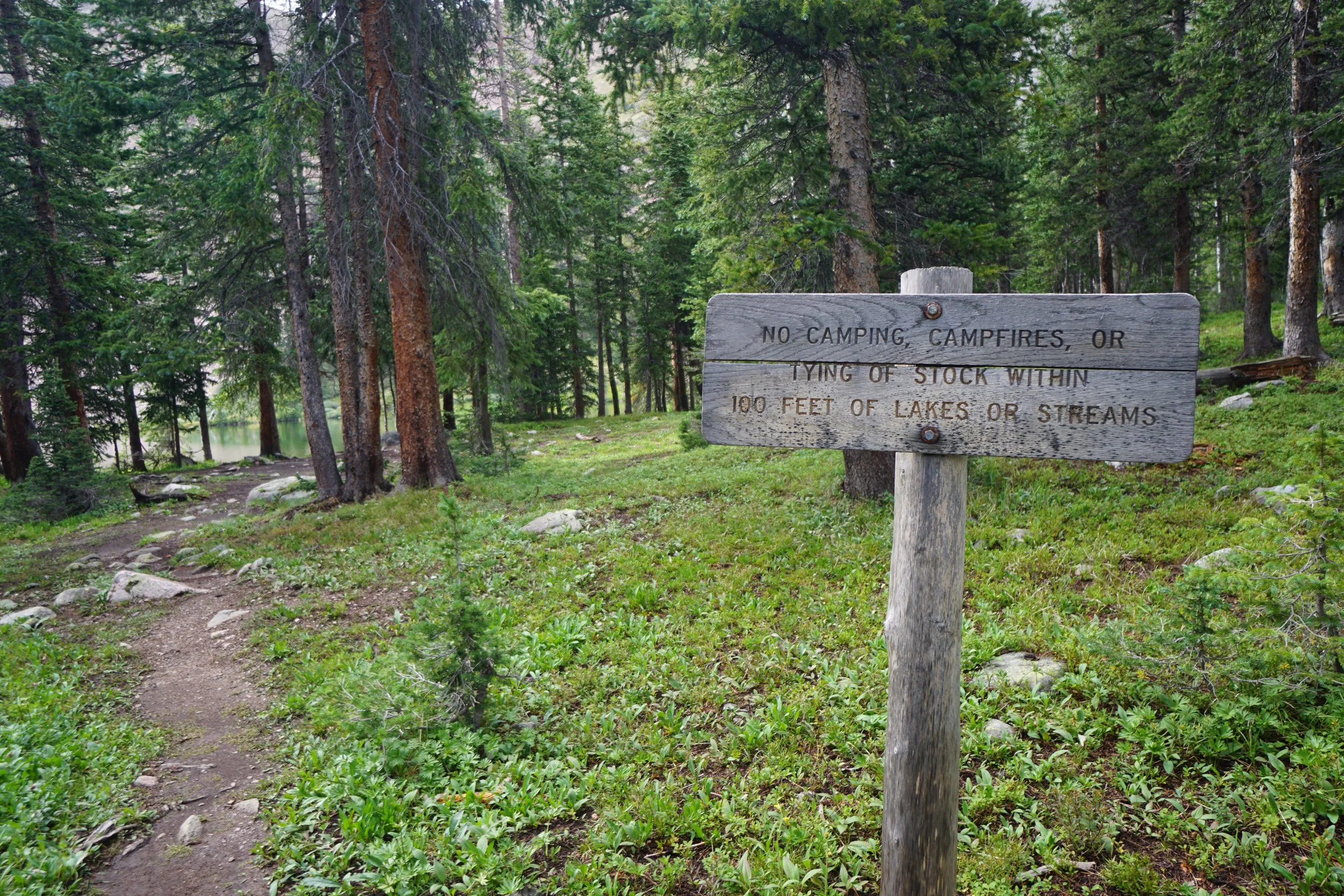 MillLakeDSC03878.JPG