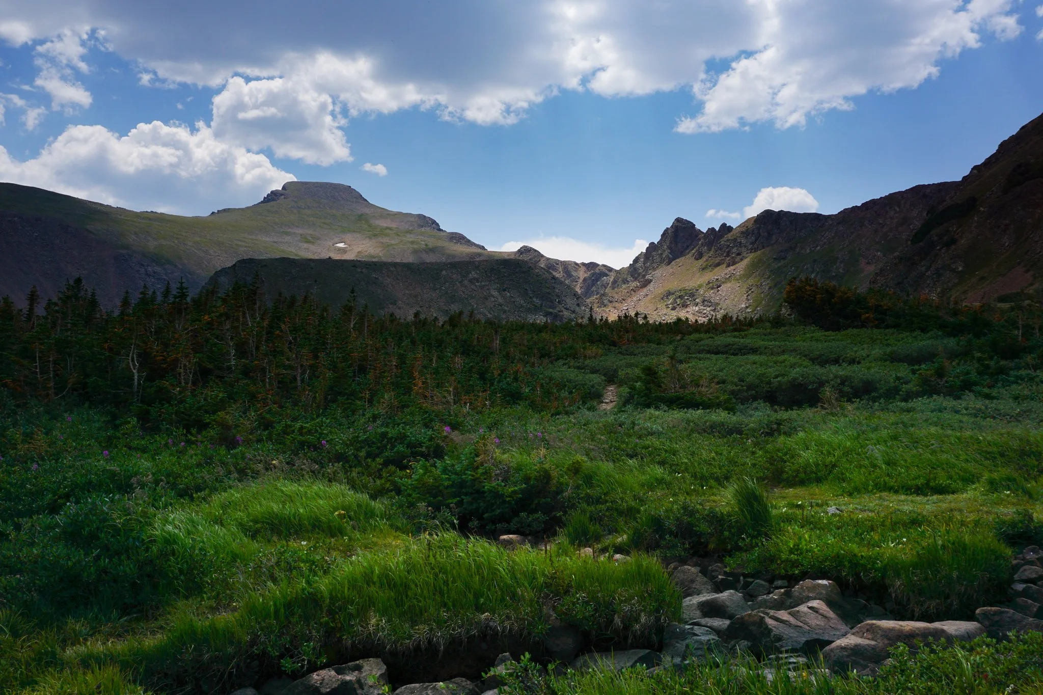 HeartLakeDSC04087-2.jpg