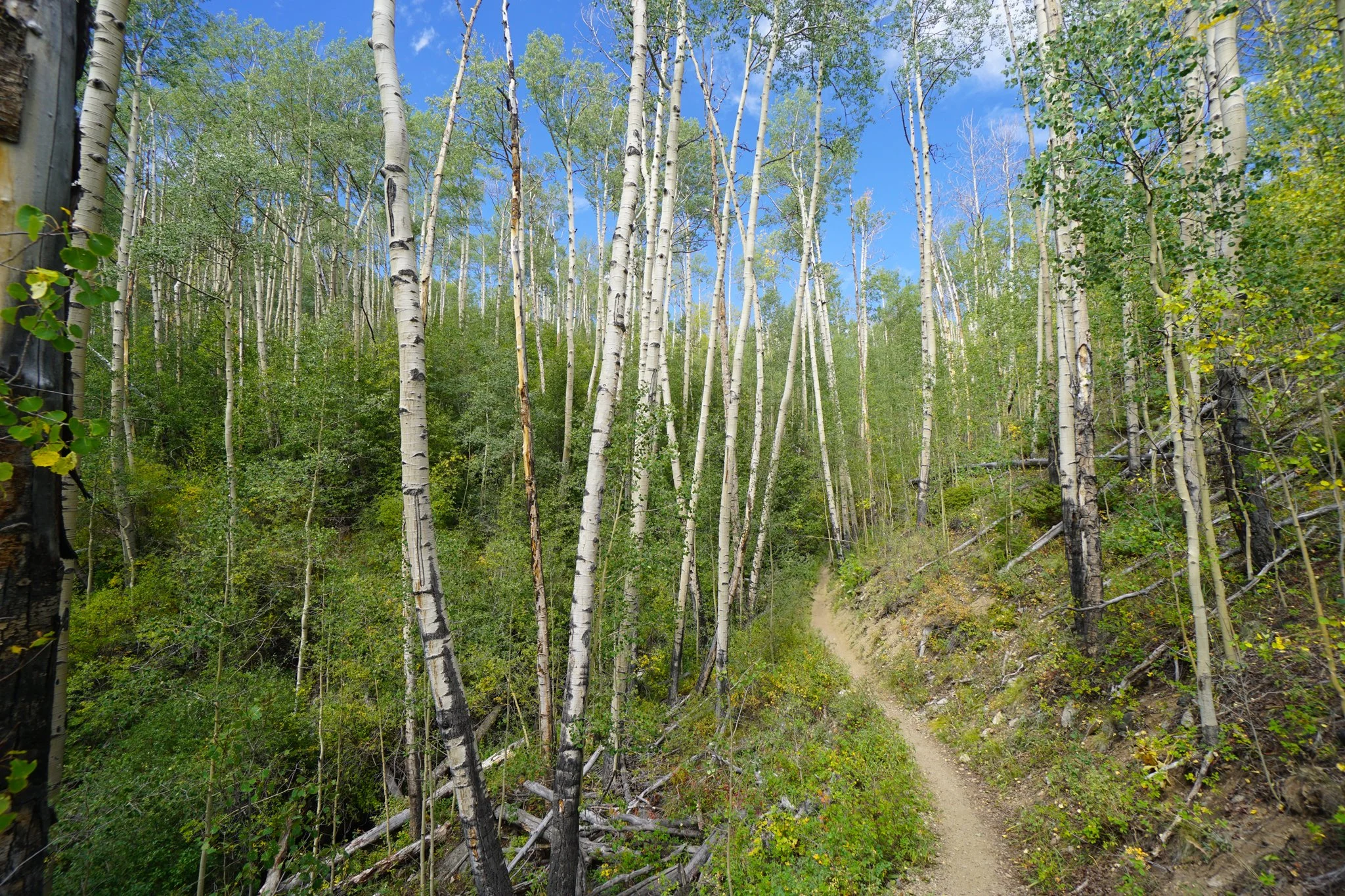 CTLowerElbertDSC04424-2.jpg