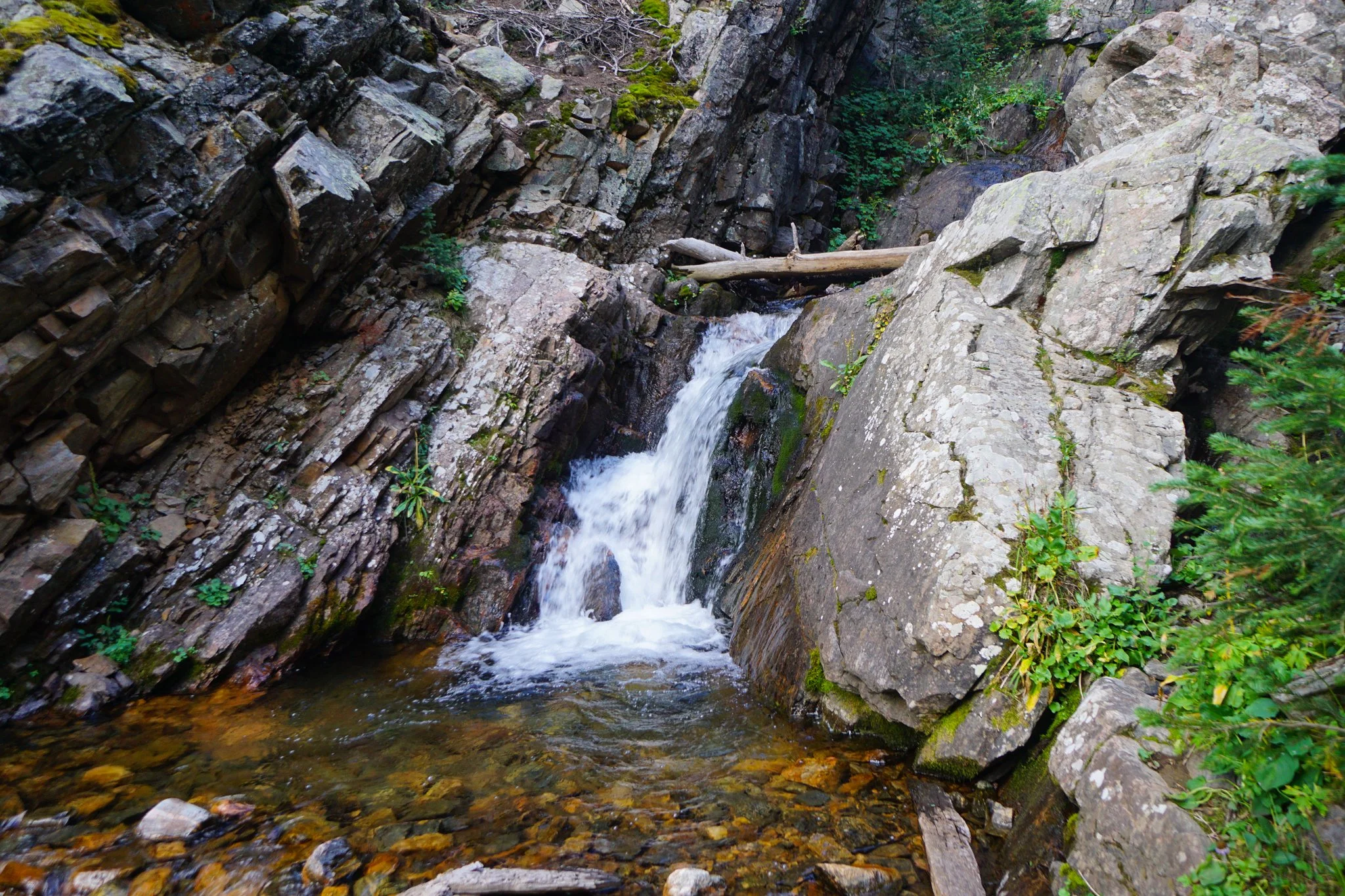 DSC04219-2.jpg