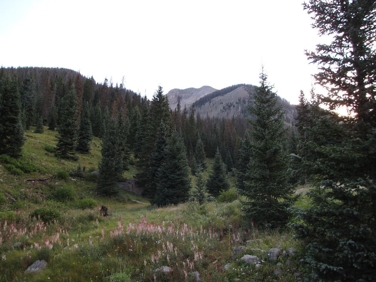 IMG_3995-X2.jpg