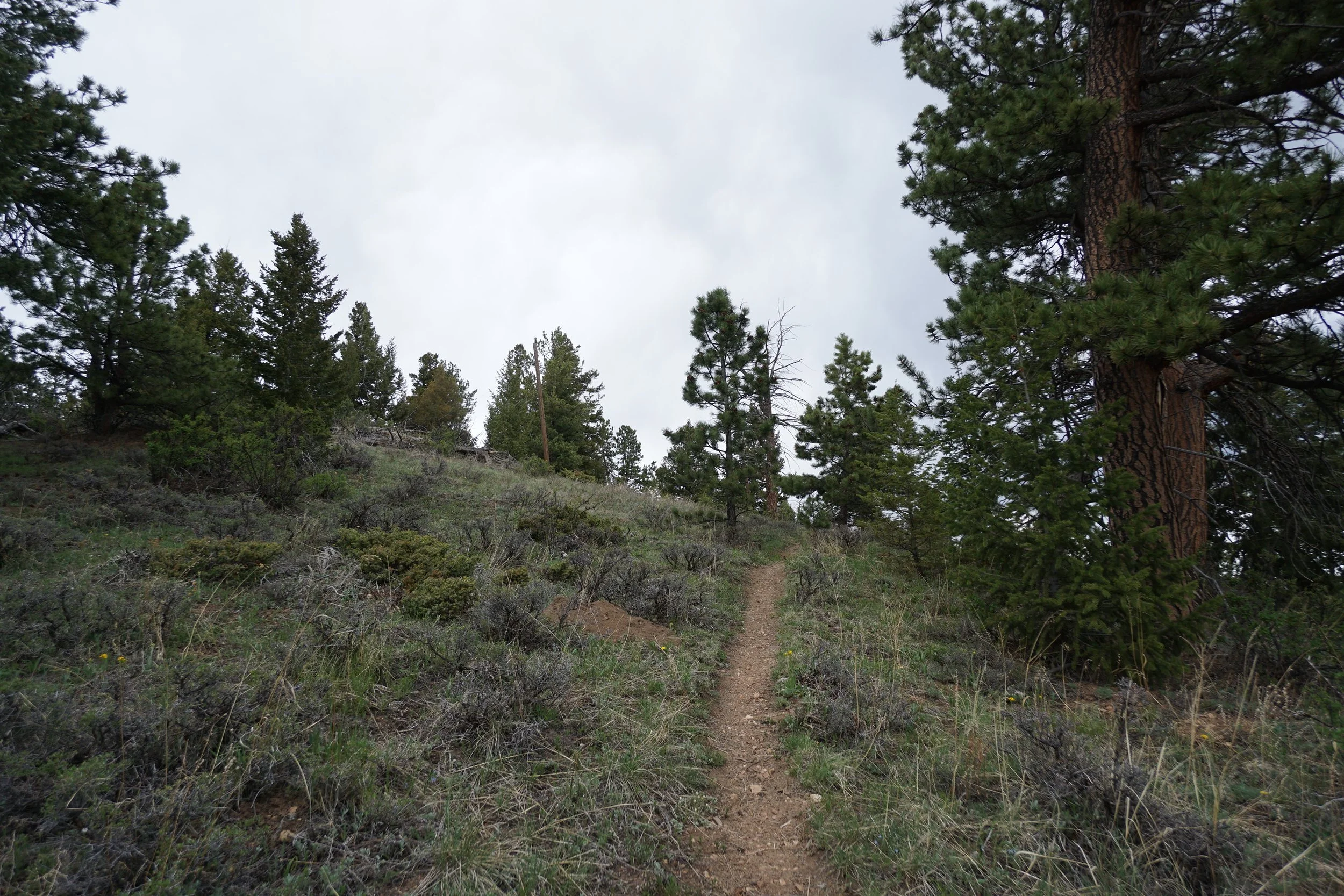 ReynoldsRanchTrailDSC03390-X5.jpg