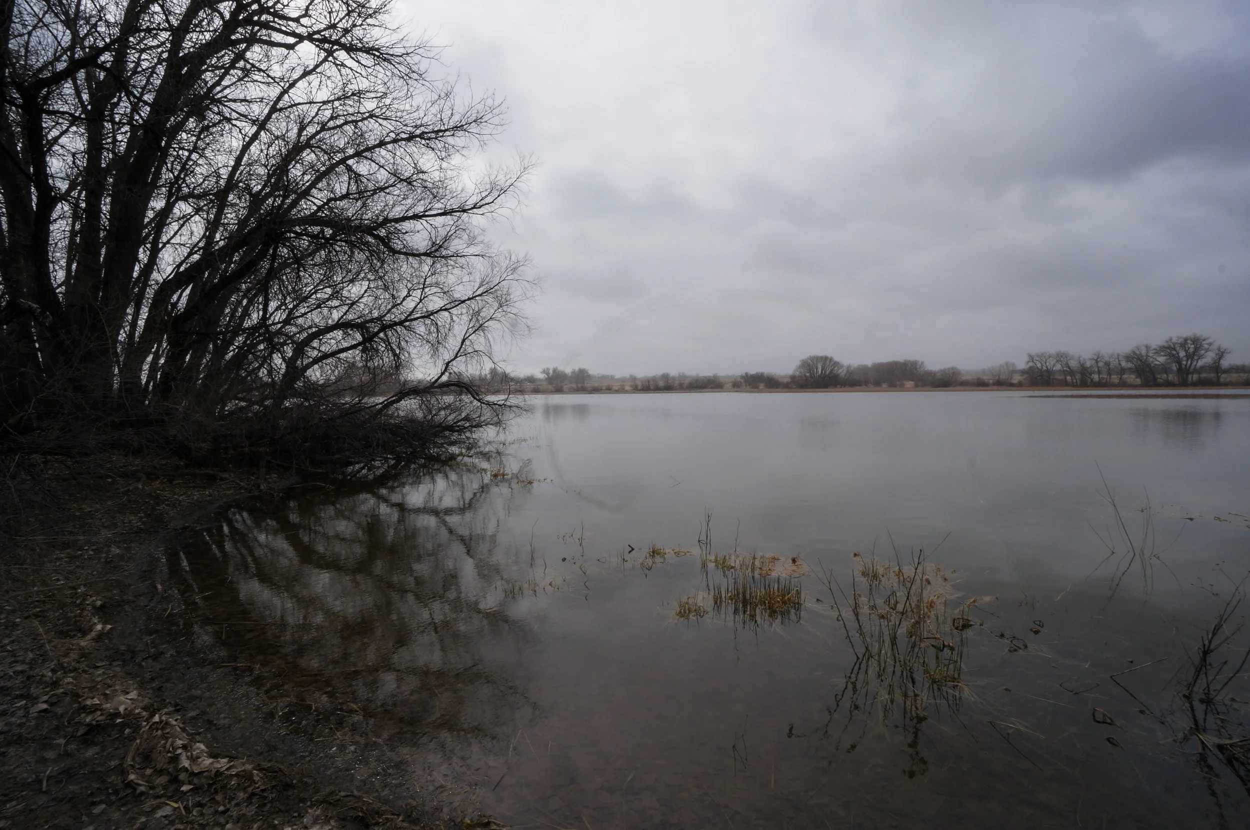 NorthTellerDSC08859-1.jpg