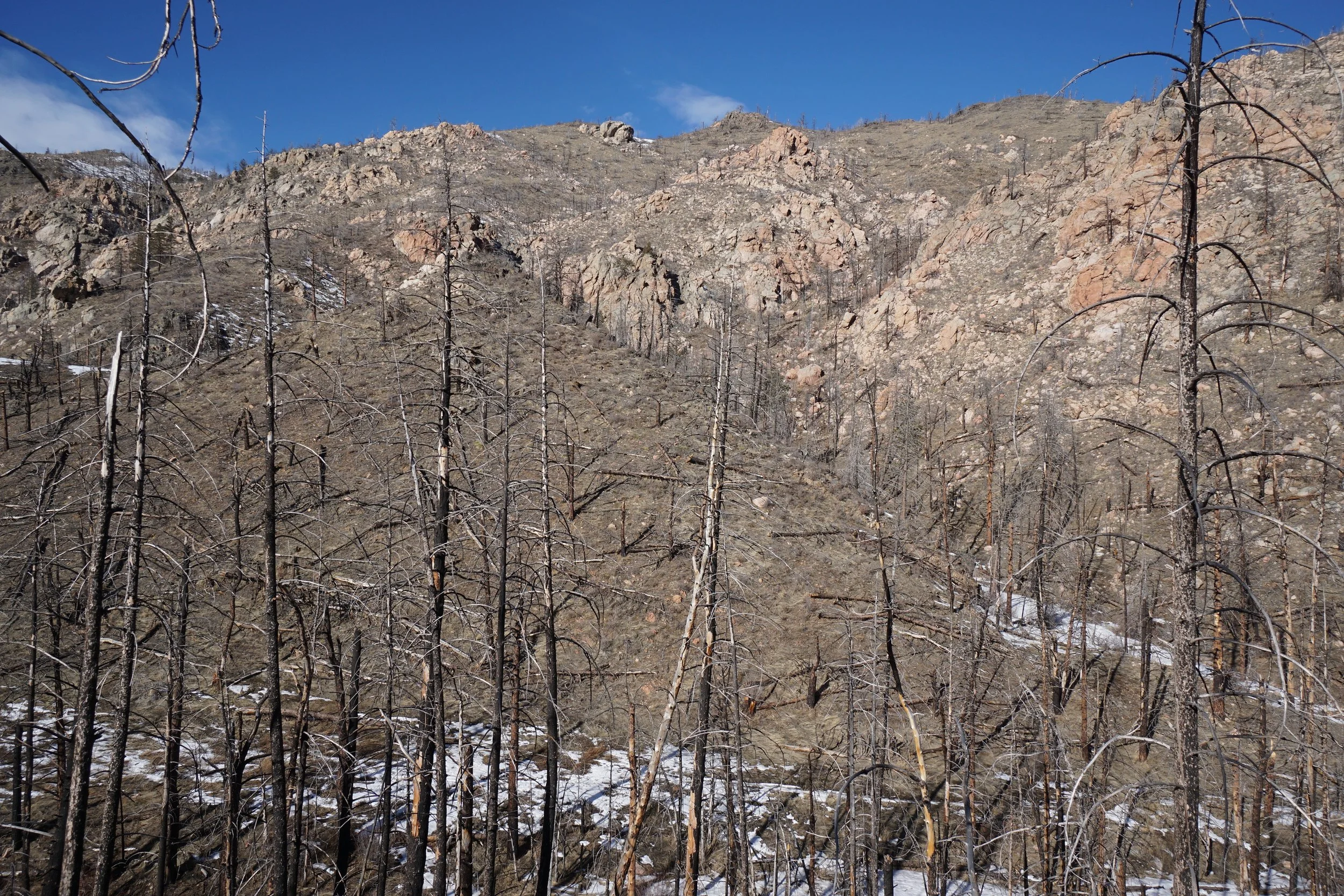 YoungGulchDSC00037-X5.jpg
