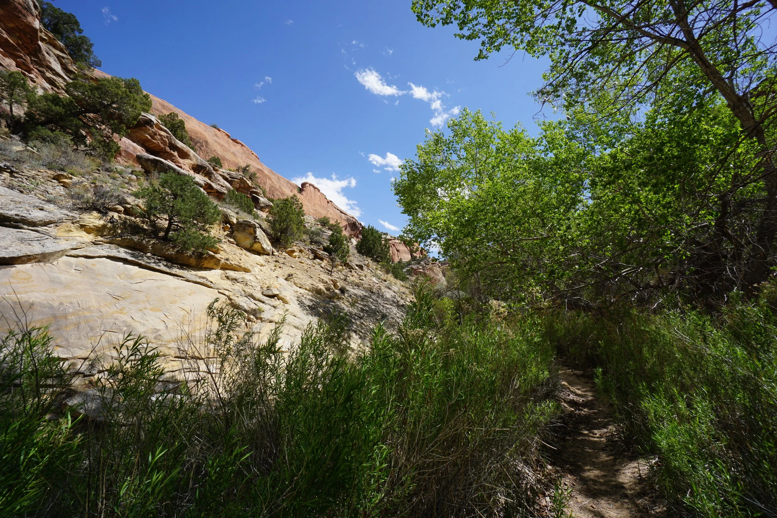 EchoCanyonCOLMDSC06176.JPG