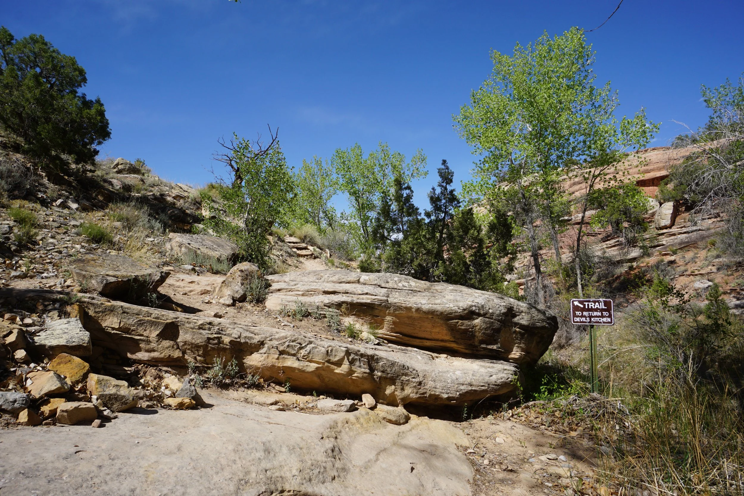 EchoCanyonCOLMDSC06276.JPG