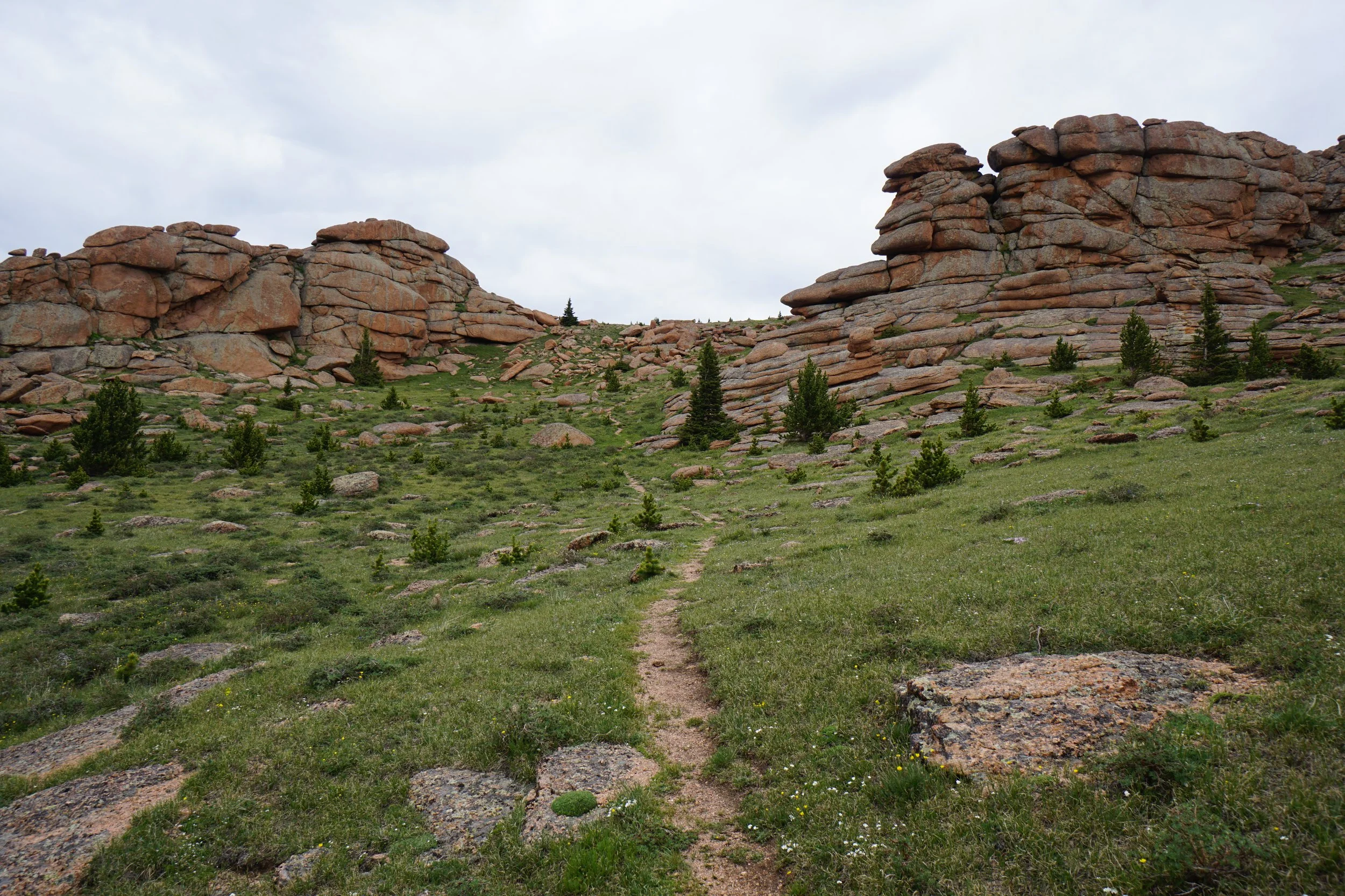BisonPeakDSC07594.JPG