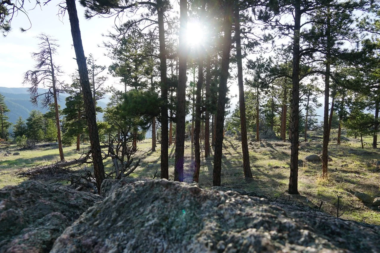 RangeViewOSMPDSC03649-X2.jpg