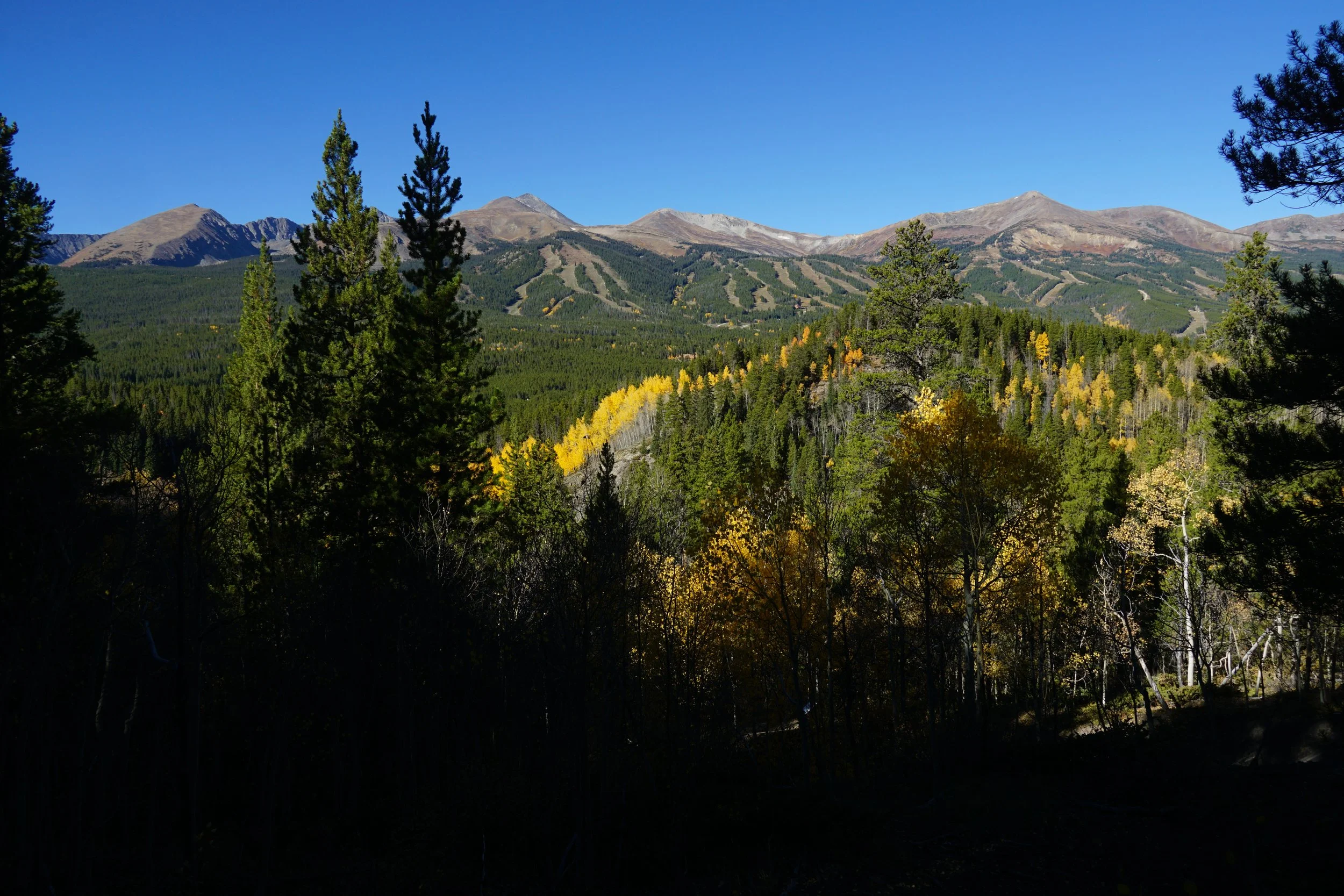 AspenAlleyDSC08489.JPG