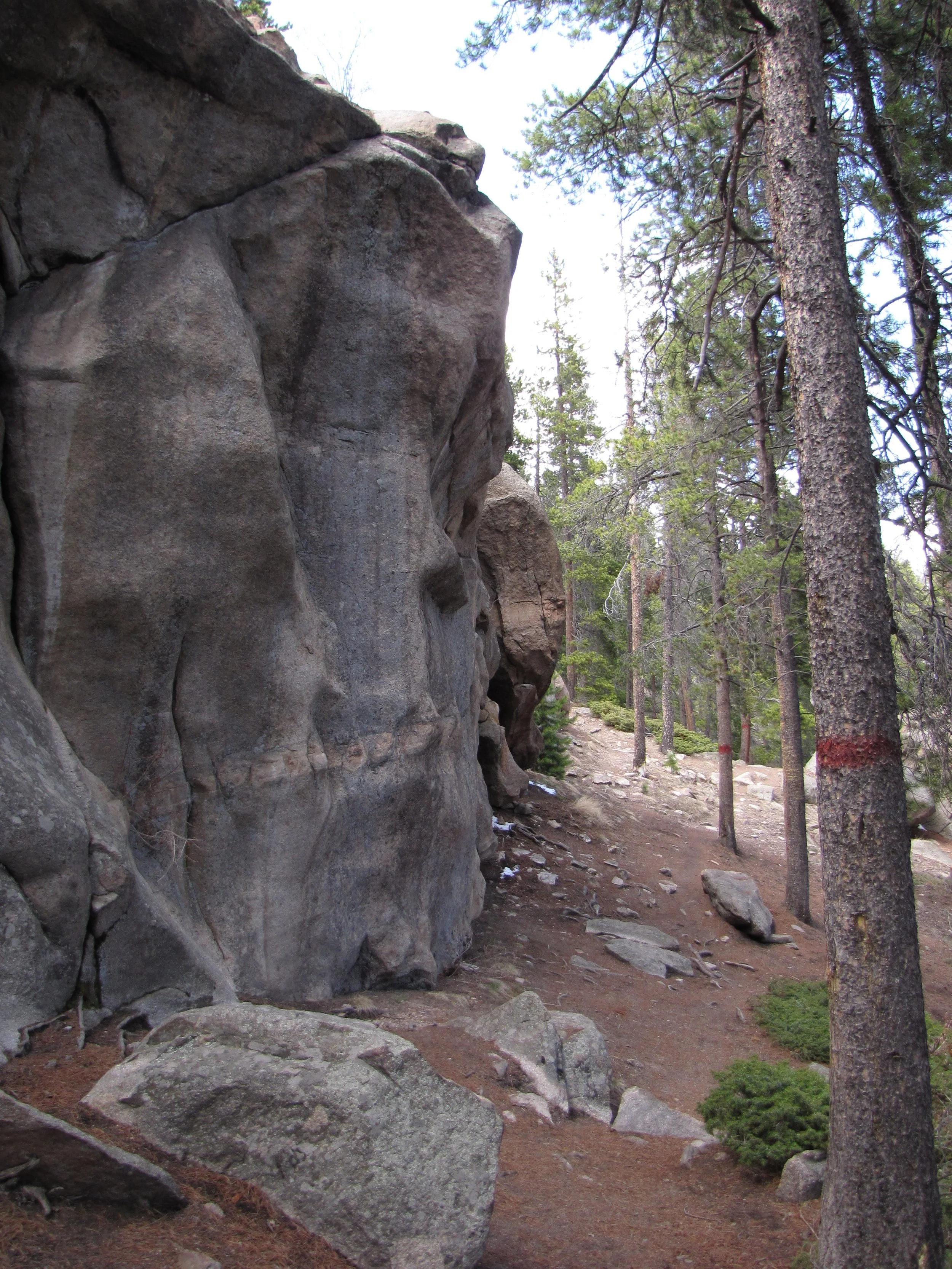 MaxwellFallsIMG_8055.jpg