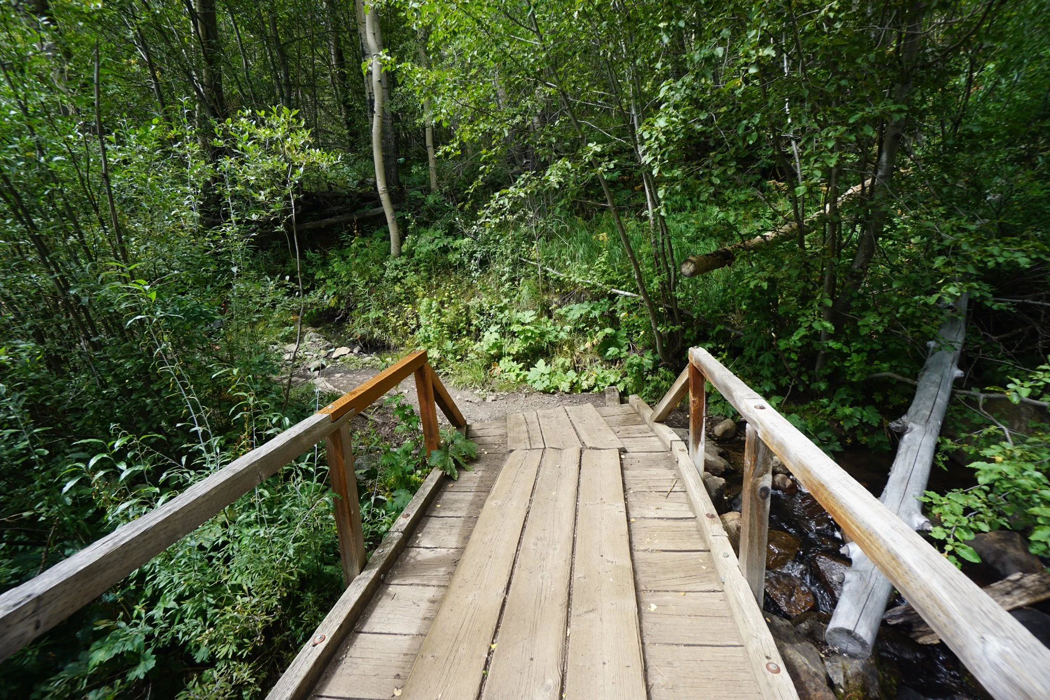 CTLowerElbertDSC04427-2.jpg