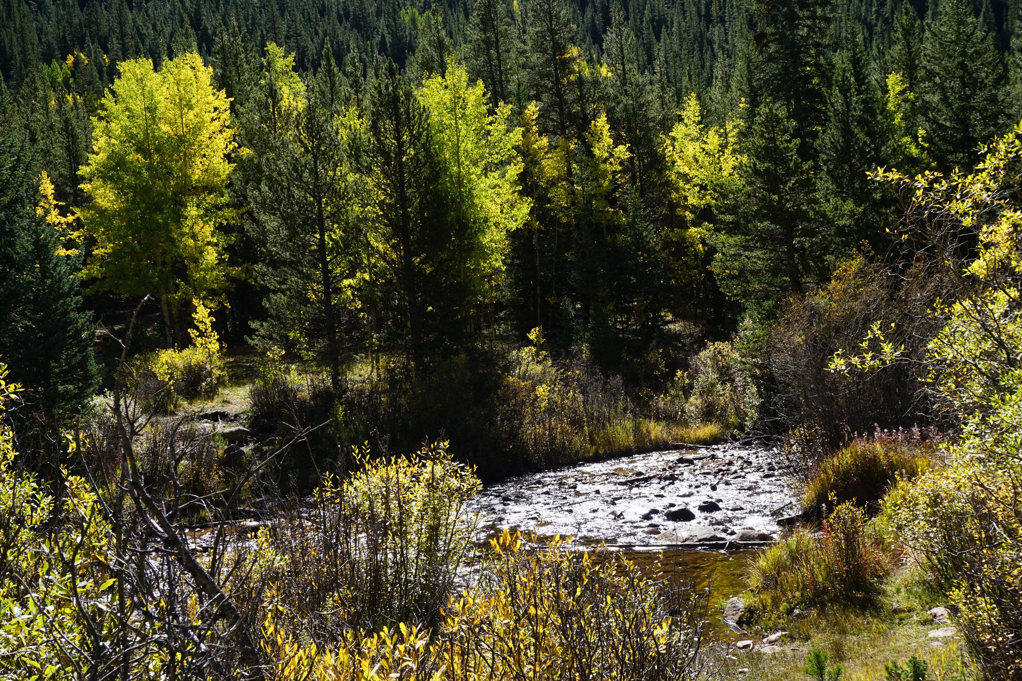 AbyssTrailDSC04776-2.jpg