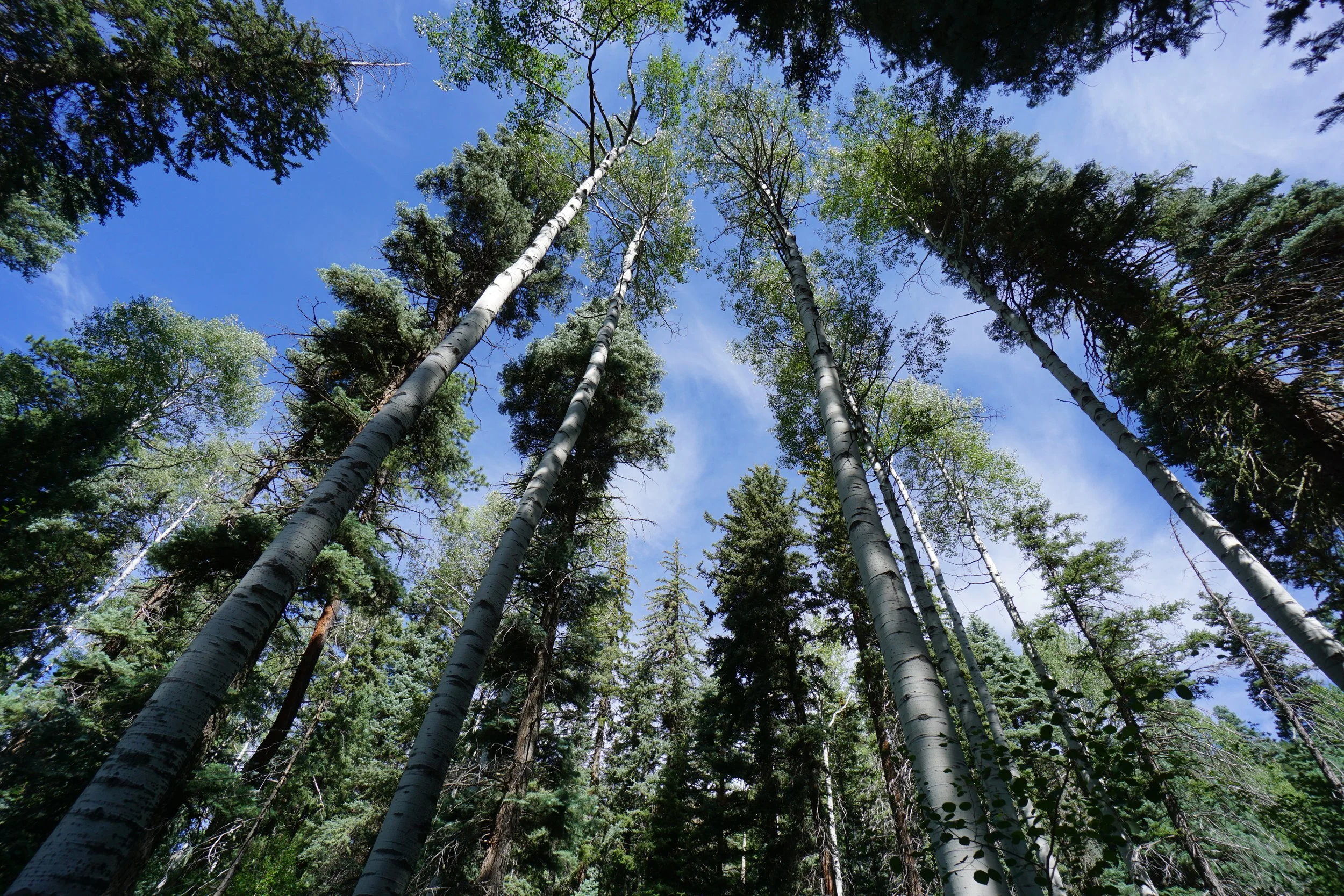 Piedra FallsDSC09022.JPG