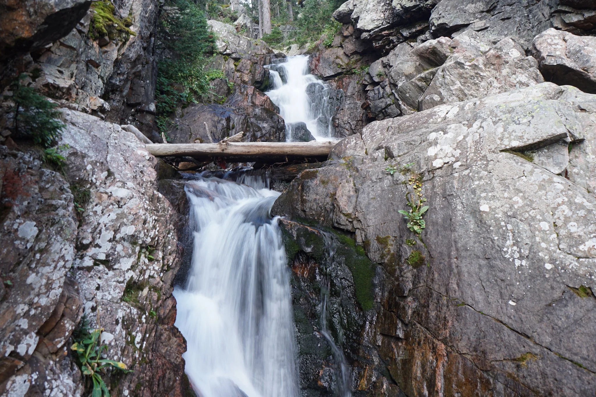 DSC04231-2.jpg