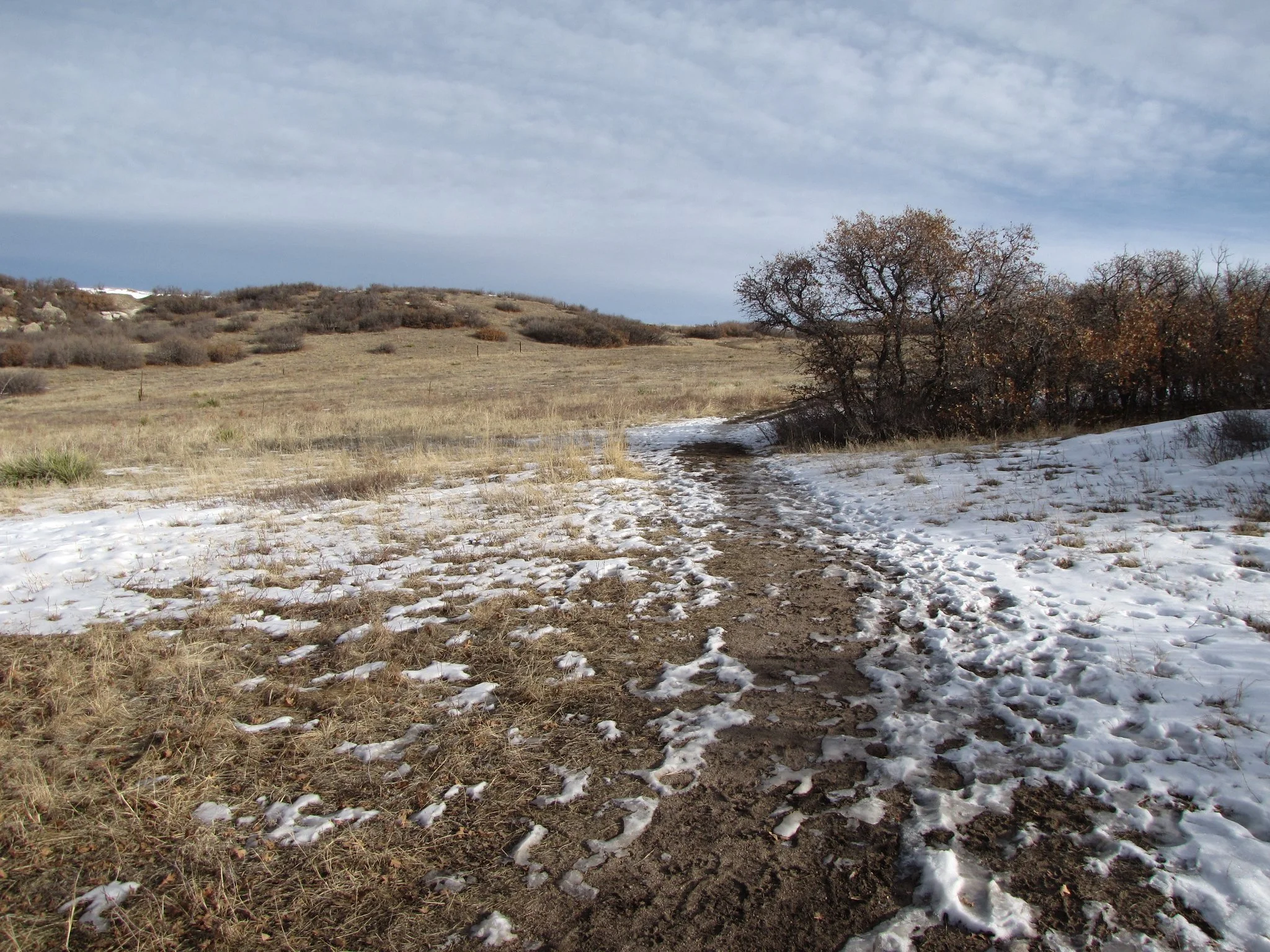 Glendale FarmIMG_7819-X4.jpg