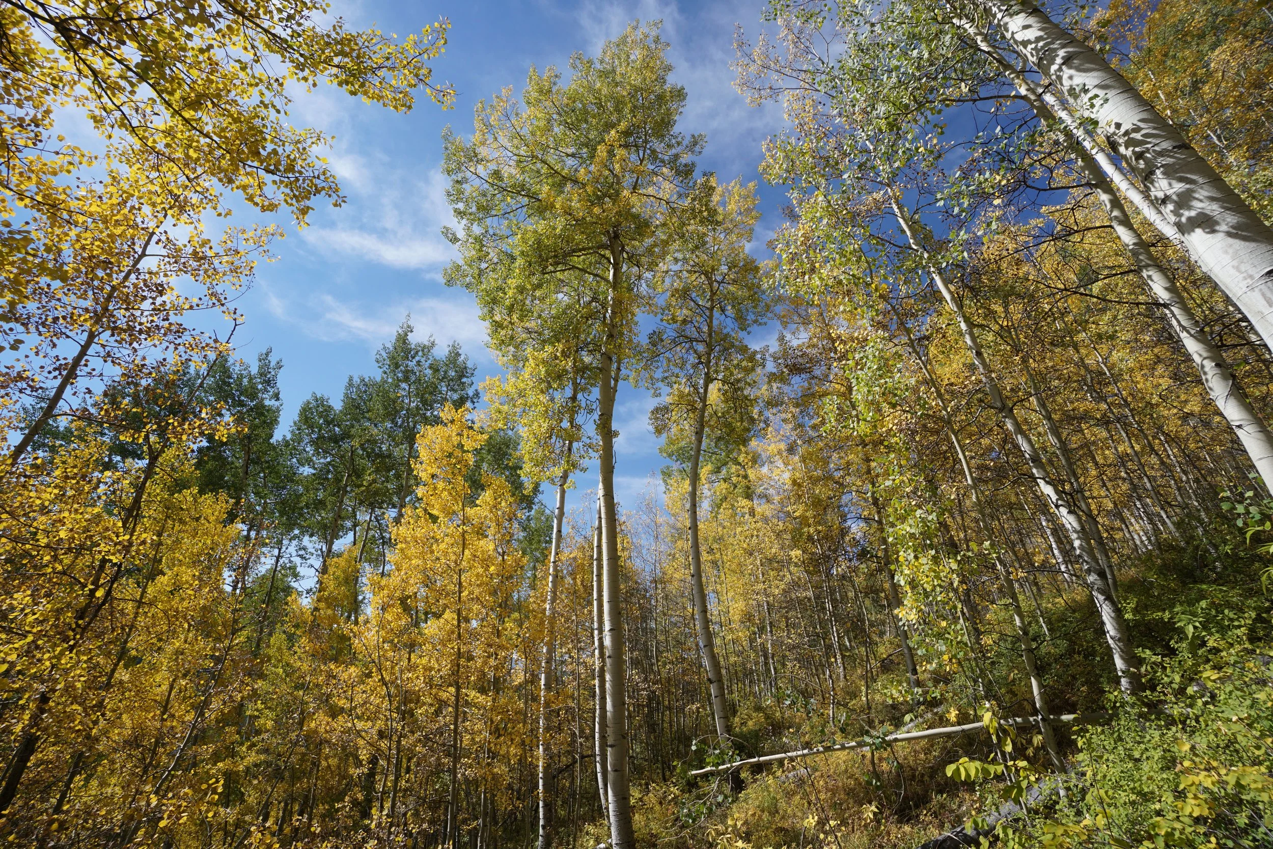 Eagle LakeDSC06983.JPG