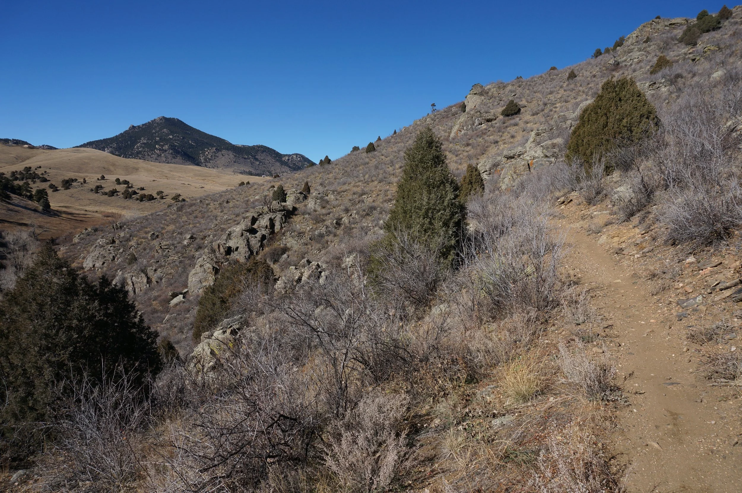 TravoisEveningDSC07163.jpg