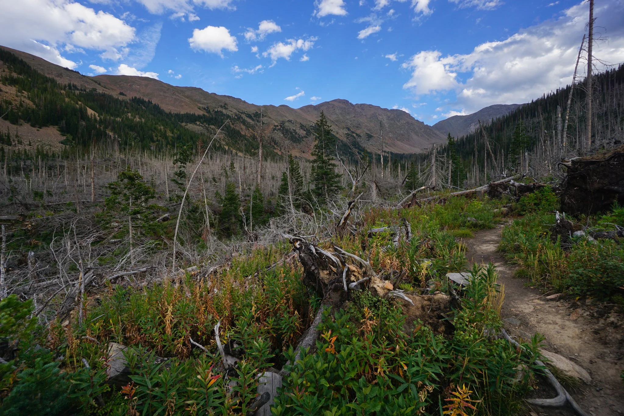 DSC04180-2.jpg