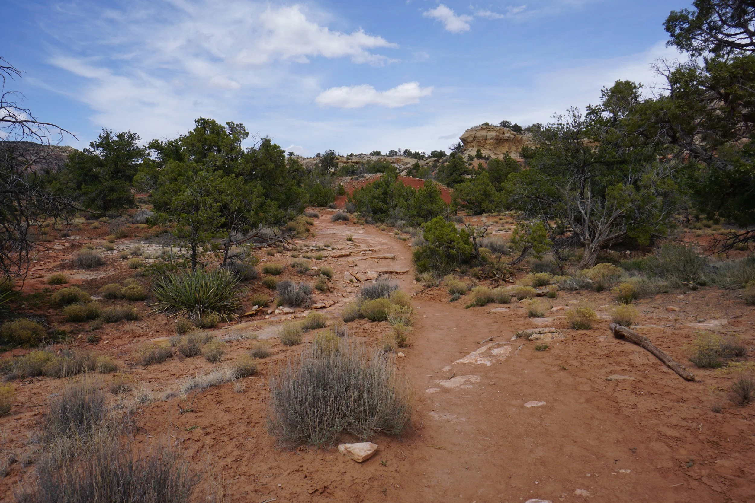 SandCanyonDSC03422.JPG
