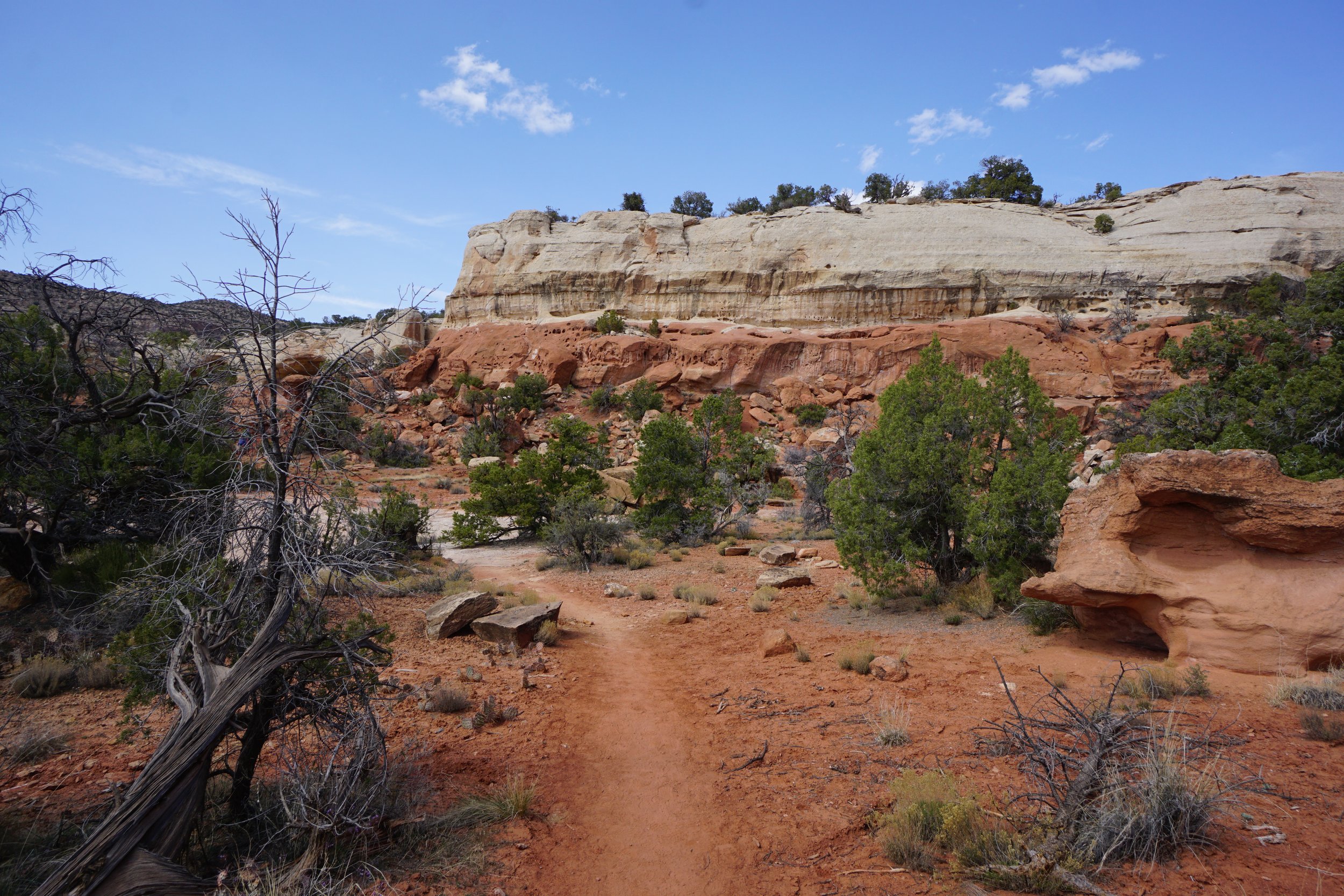 SandCanyonDSC03490.JPG