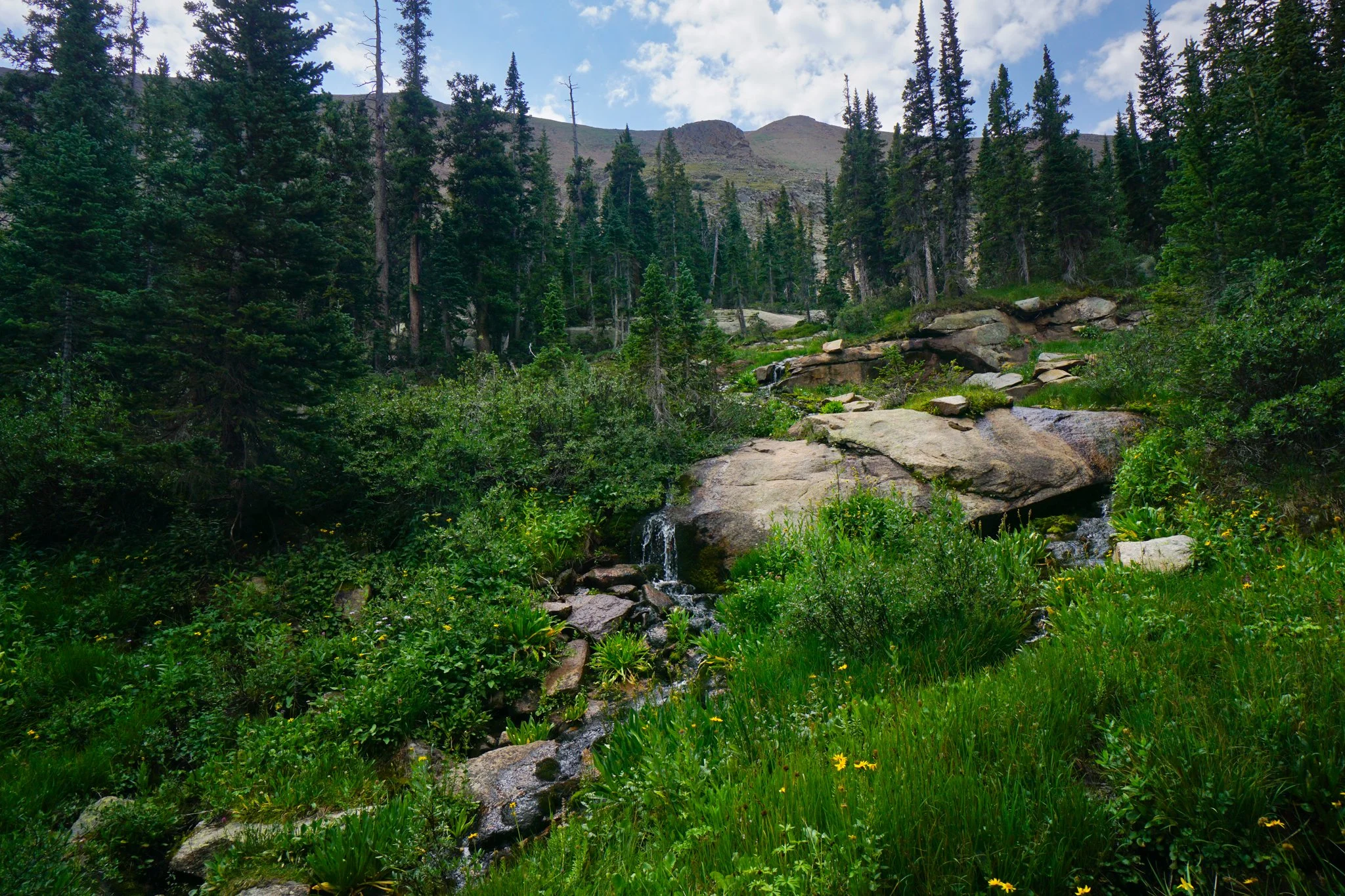 HeartLakeDSC03955-2.jpg