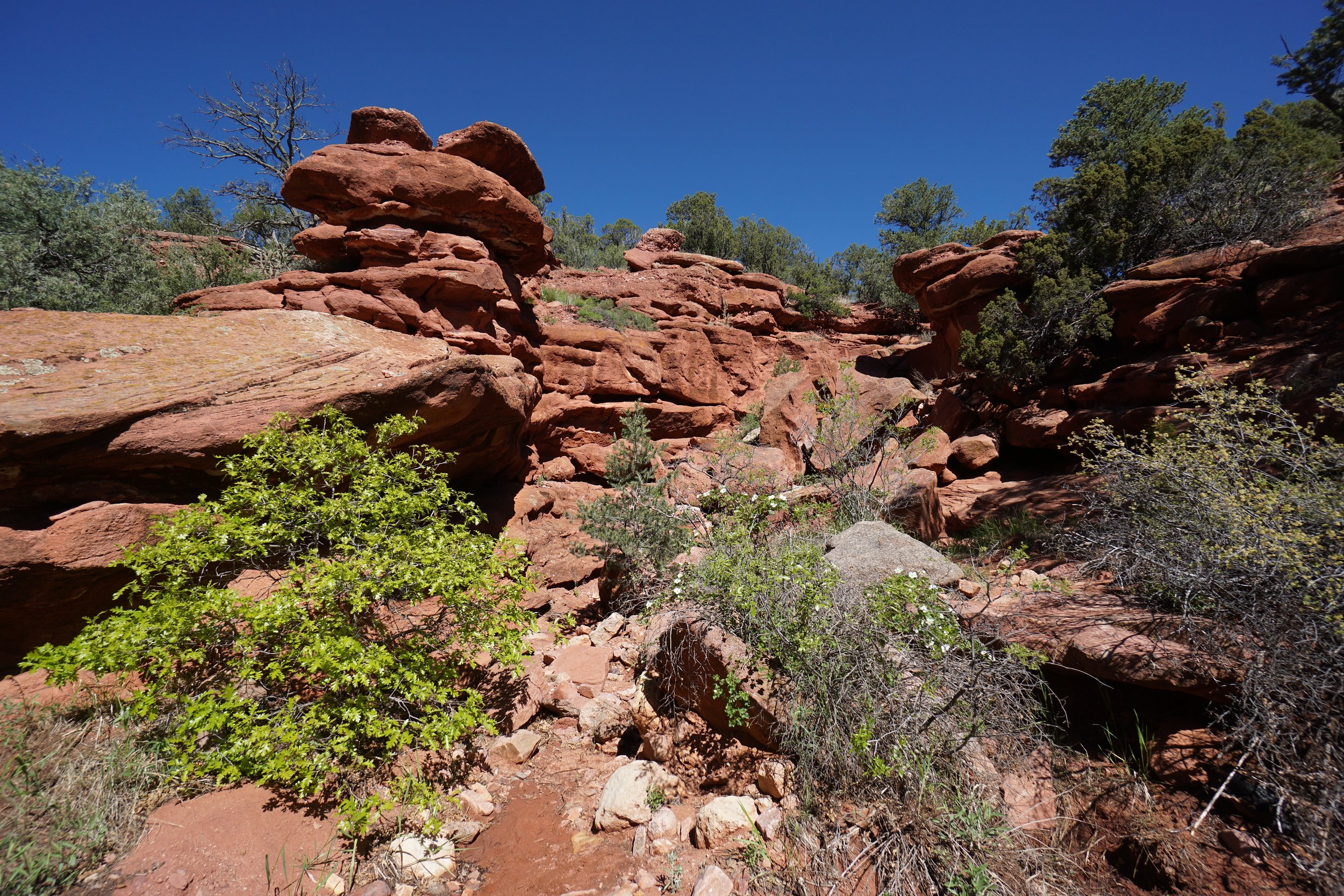 RedRockParkDSC04372-X5.jpg