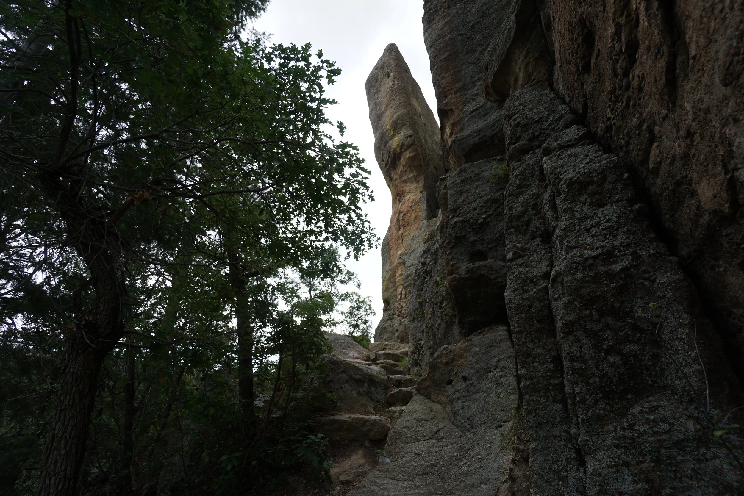 ClimbersCliffDSC05104-X5.jpg