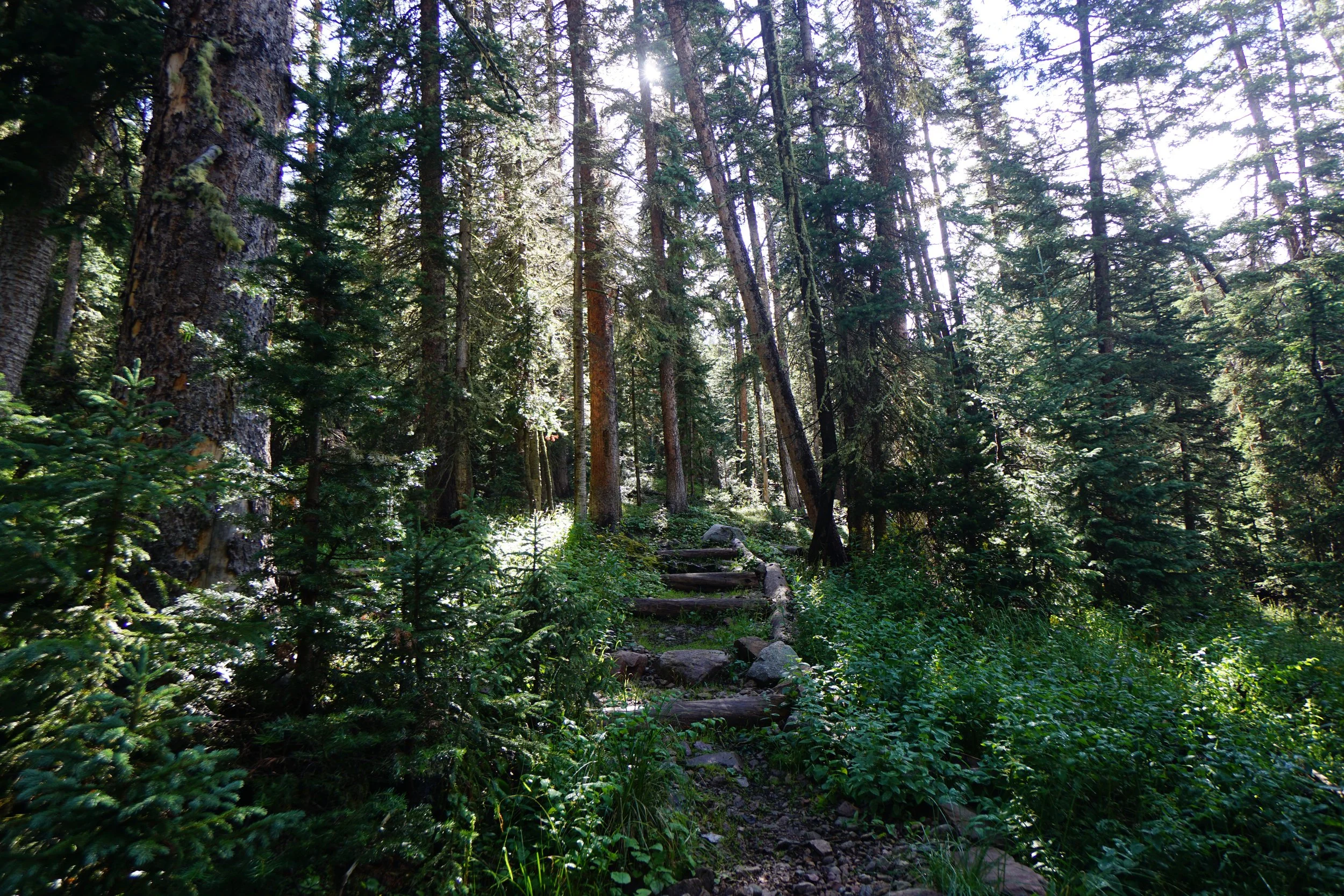 MillLakeDSC03863.JPG