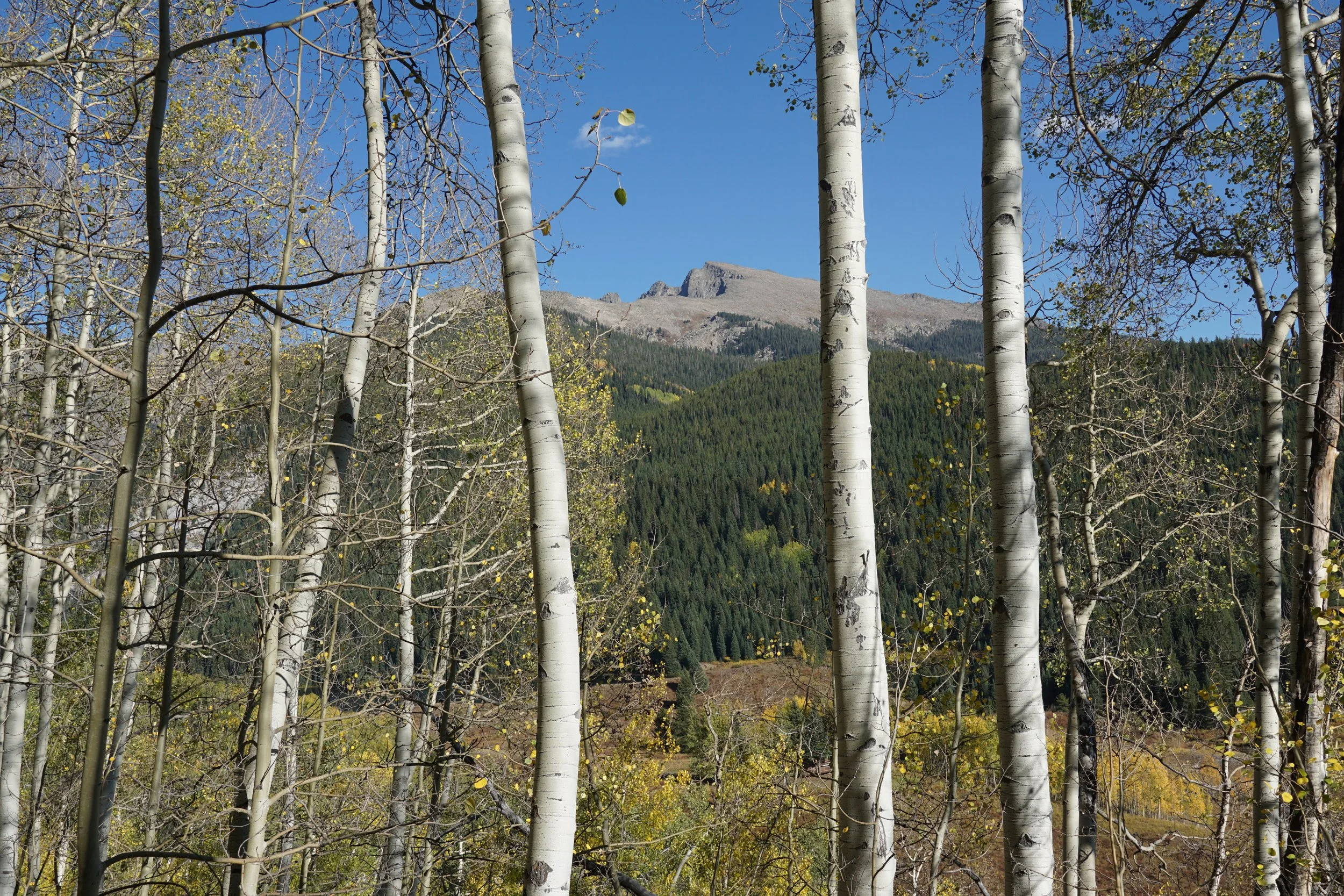 Eagle LakeDSC06646.JPG