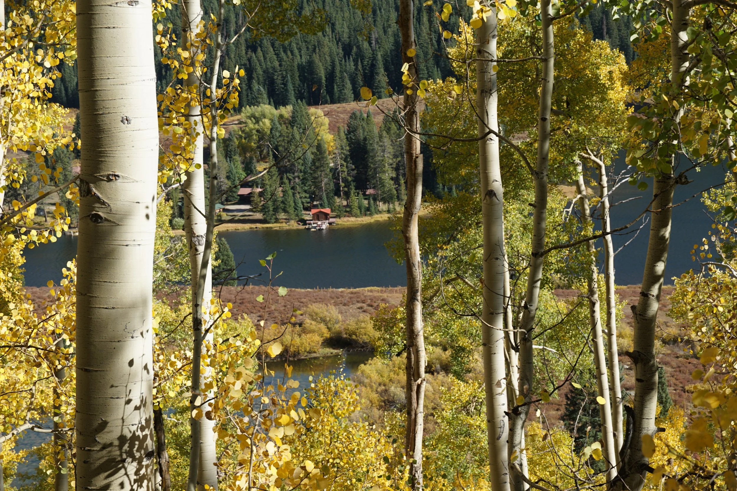 Eagle LakeDSC06632.JPG