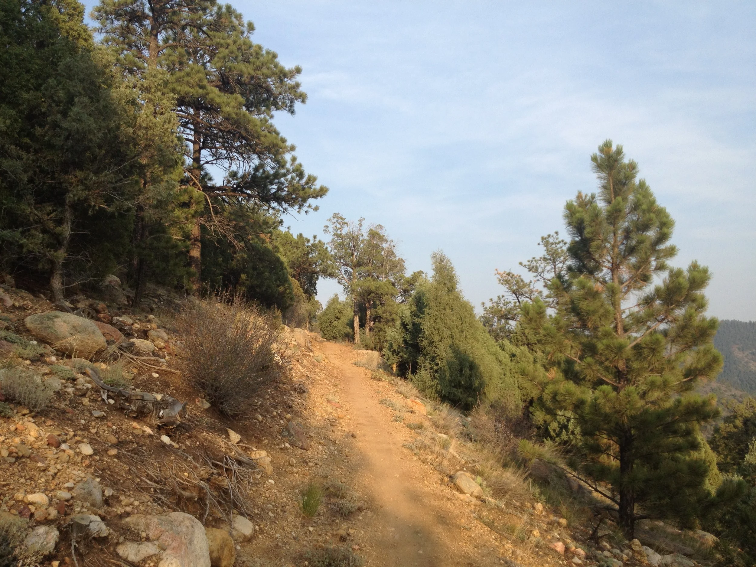 MayhemIMG_3318.jpg